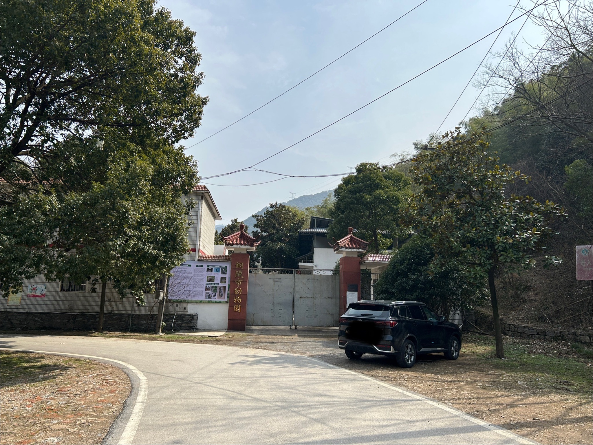 铜陵市动物园(暂停开放)旅行图片 1