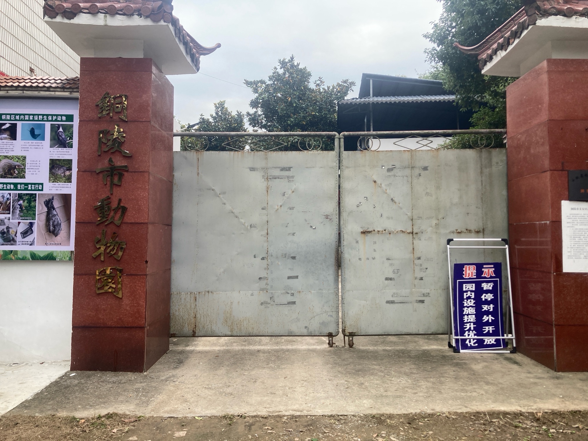 铜陵市动物园(暂停开放)旅行图片 1