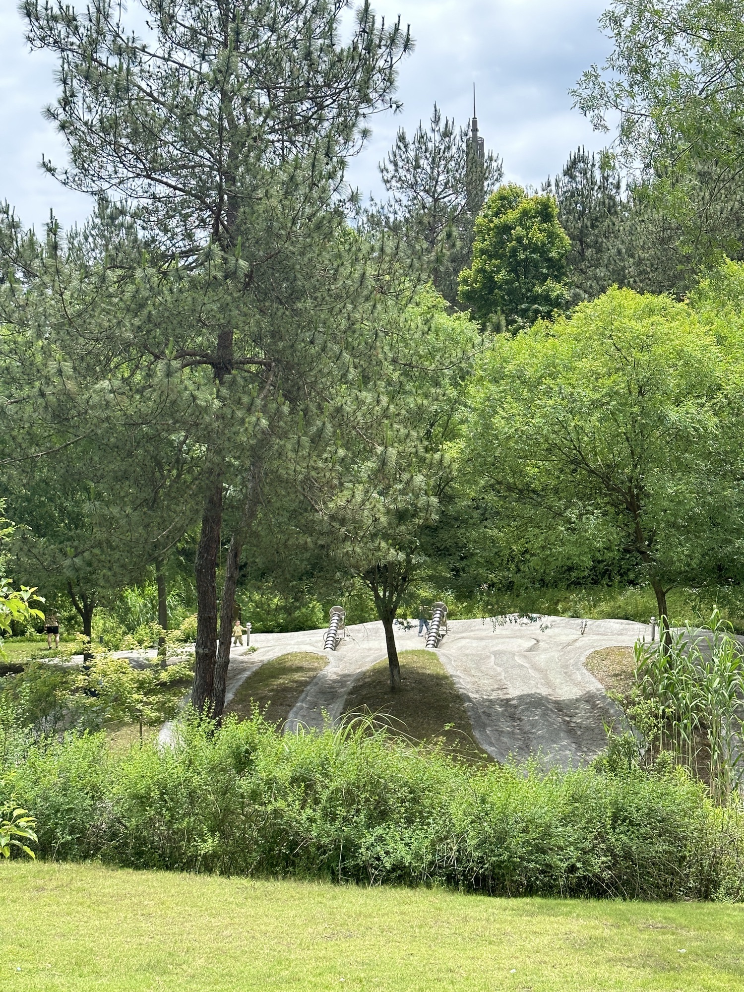 鲸奇谷旅行图片 2
