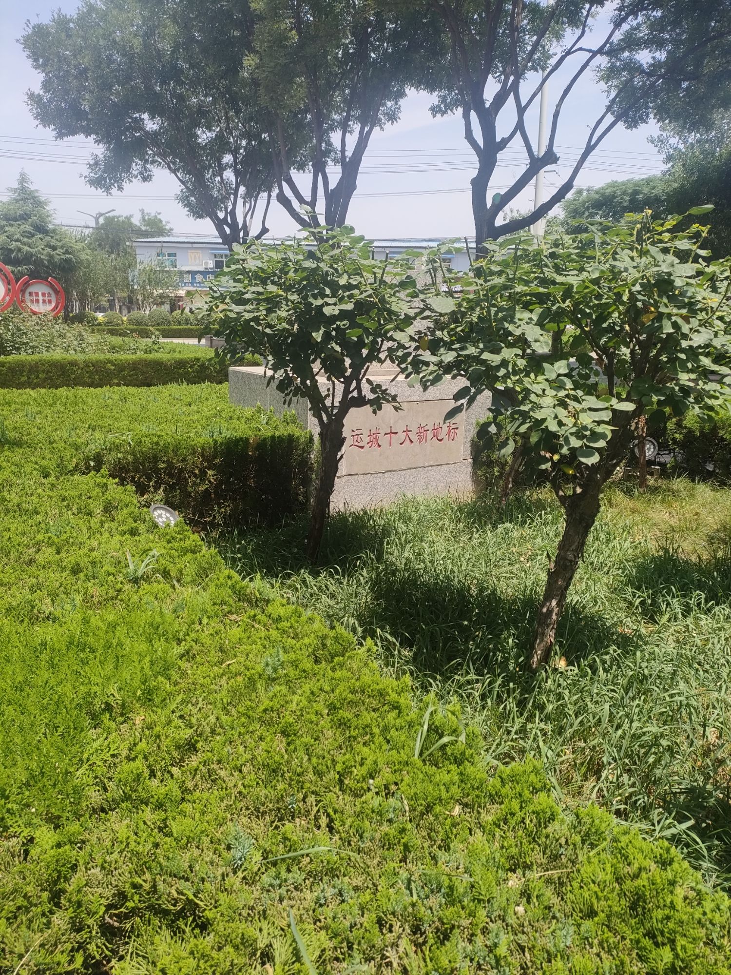 圣惠公园旅行图片 2