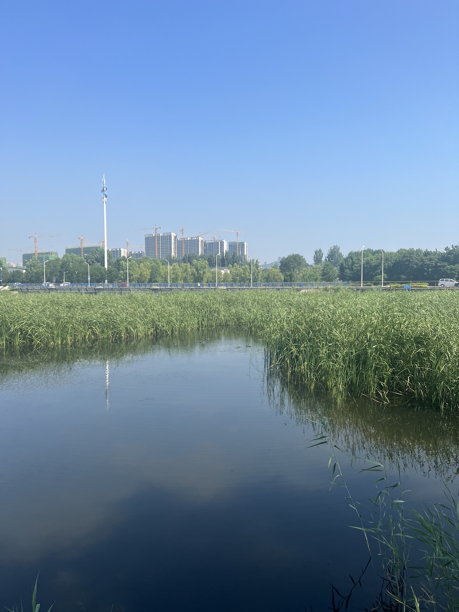 孝义河湿地公园旅行图片 1