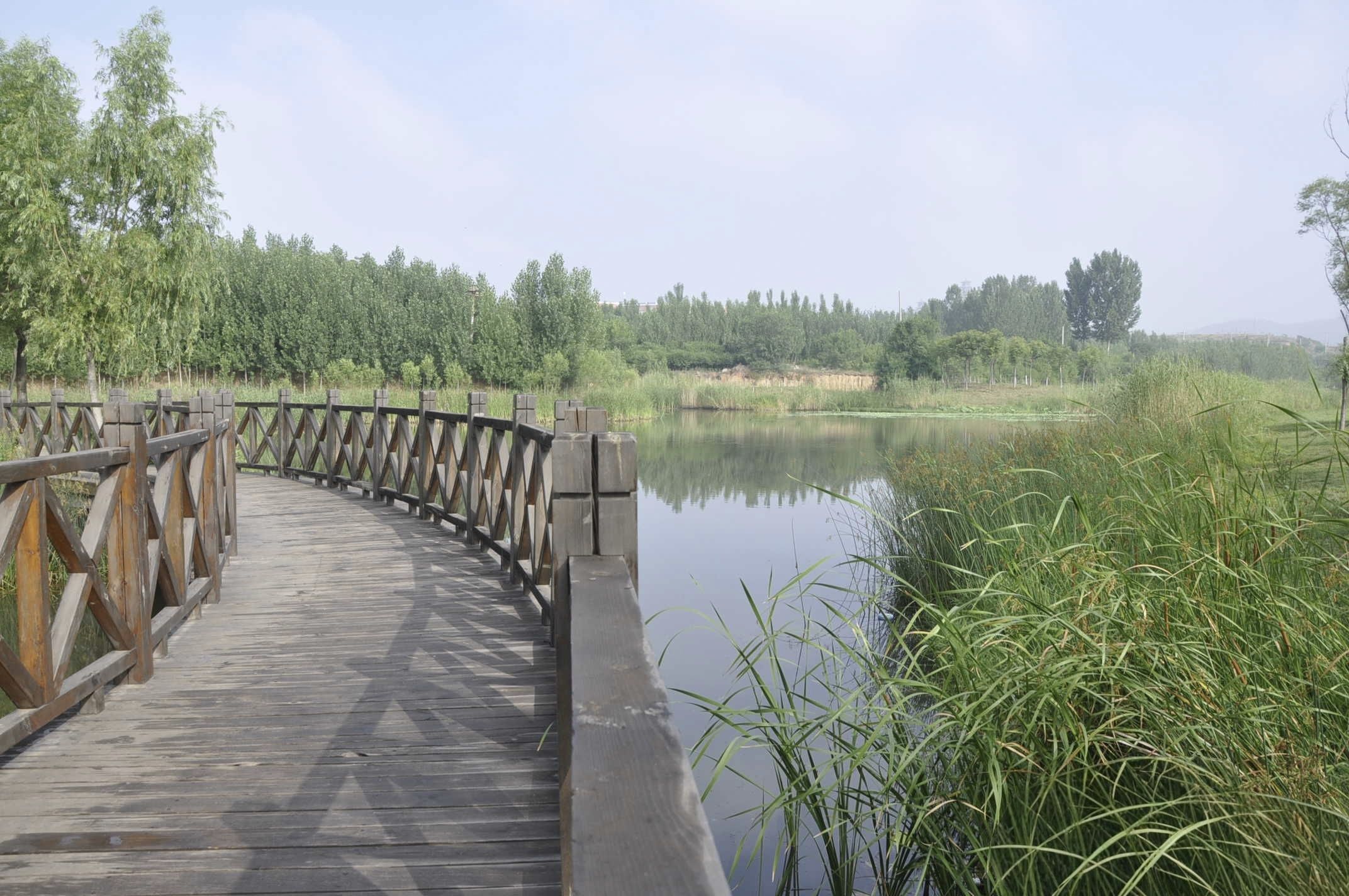 孝义河湿地公园