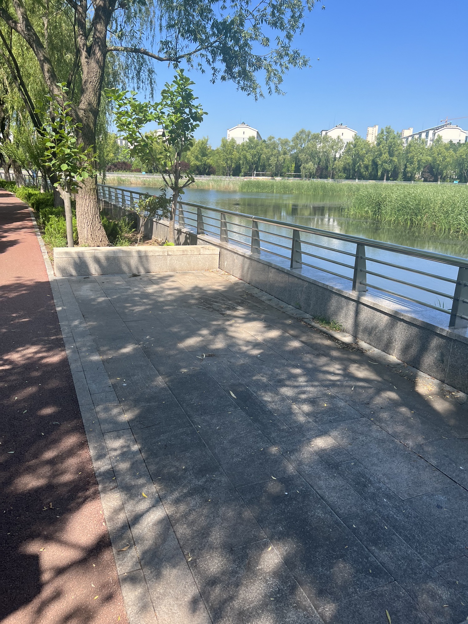 孝义河湿地公园旅行图片 3
