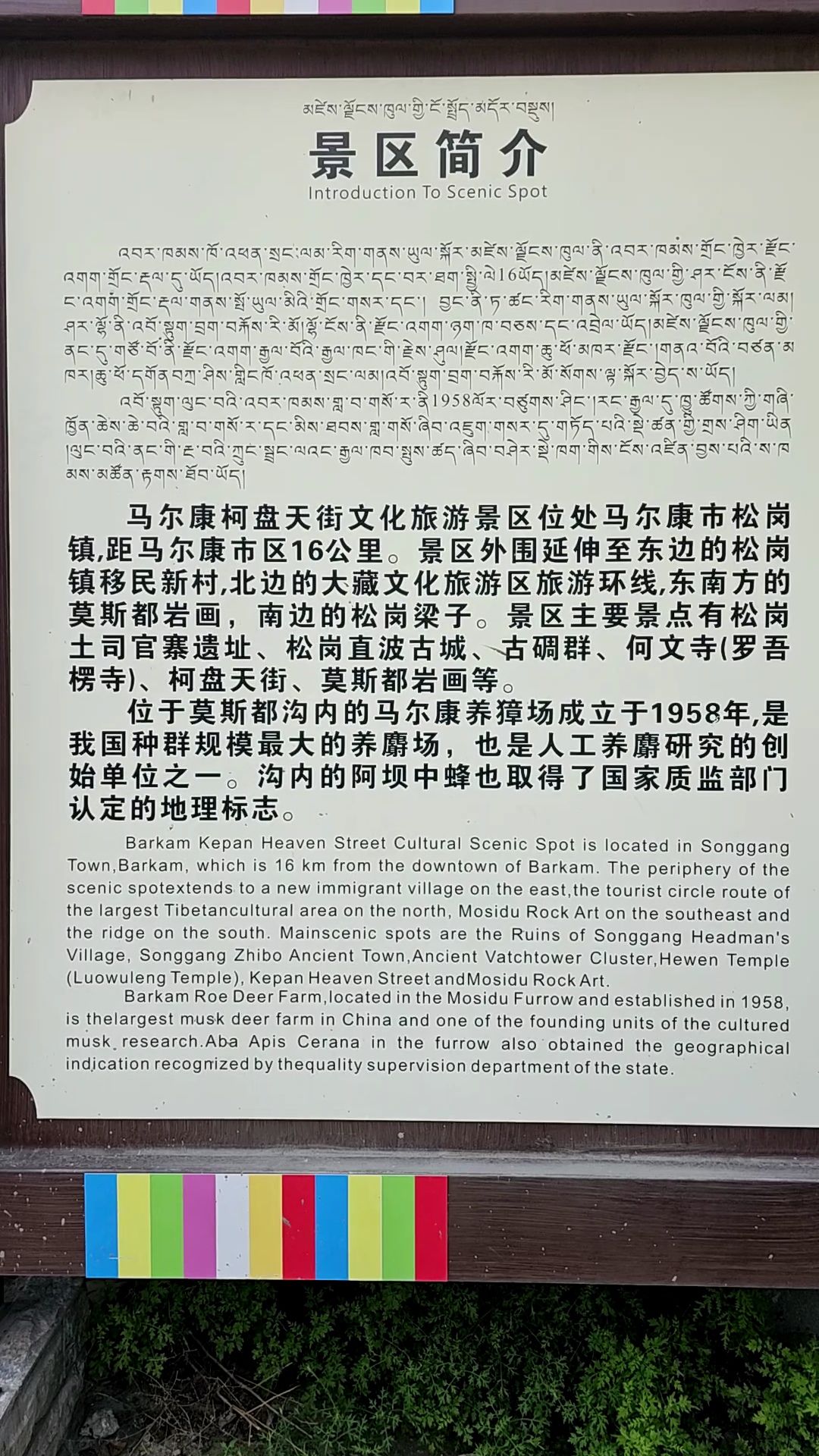 松岗柯盘天街旅行图片 2
