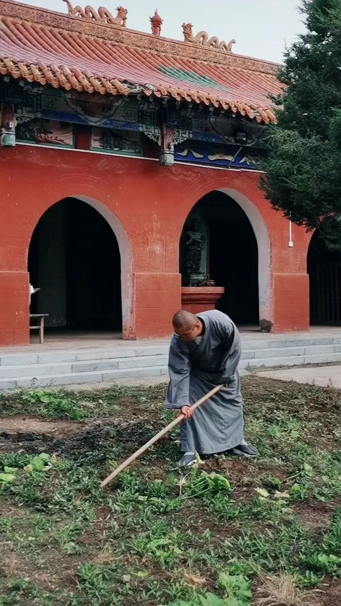 郭吴村雷音寺实景照片