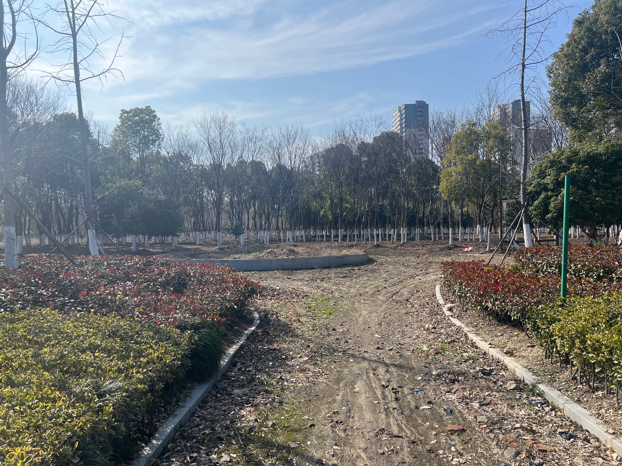 新华公园旅行图片 2