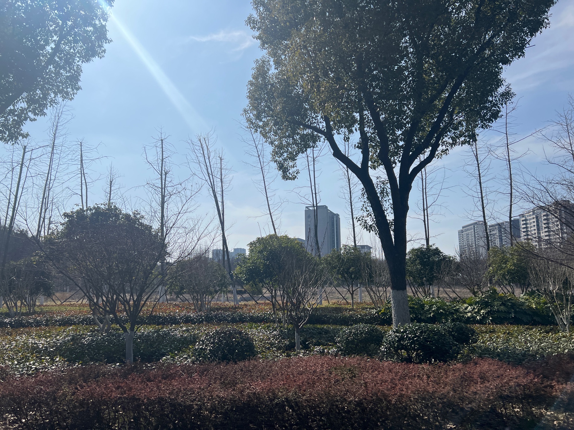 新华公园旅行图片 1