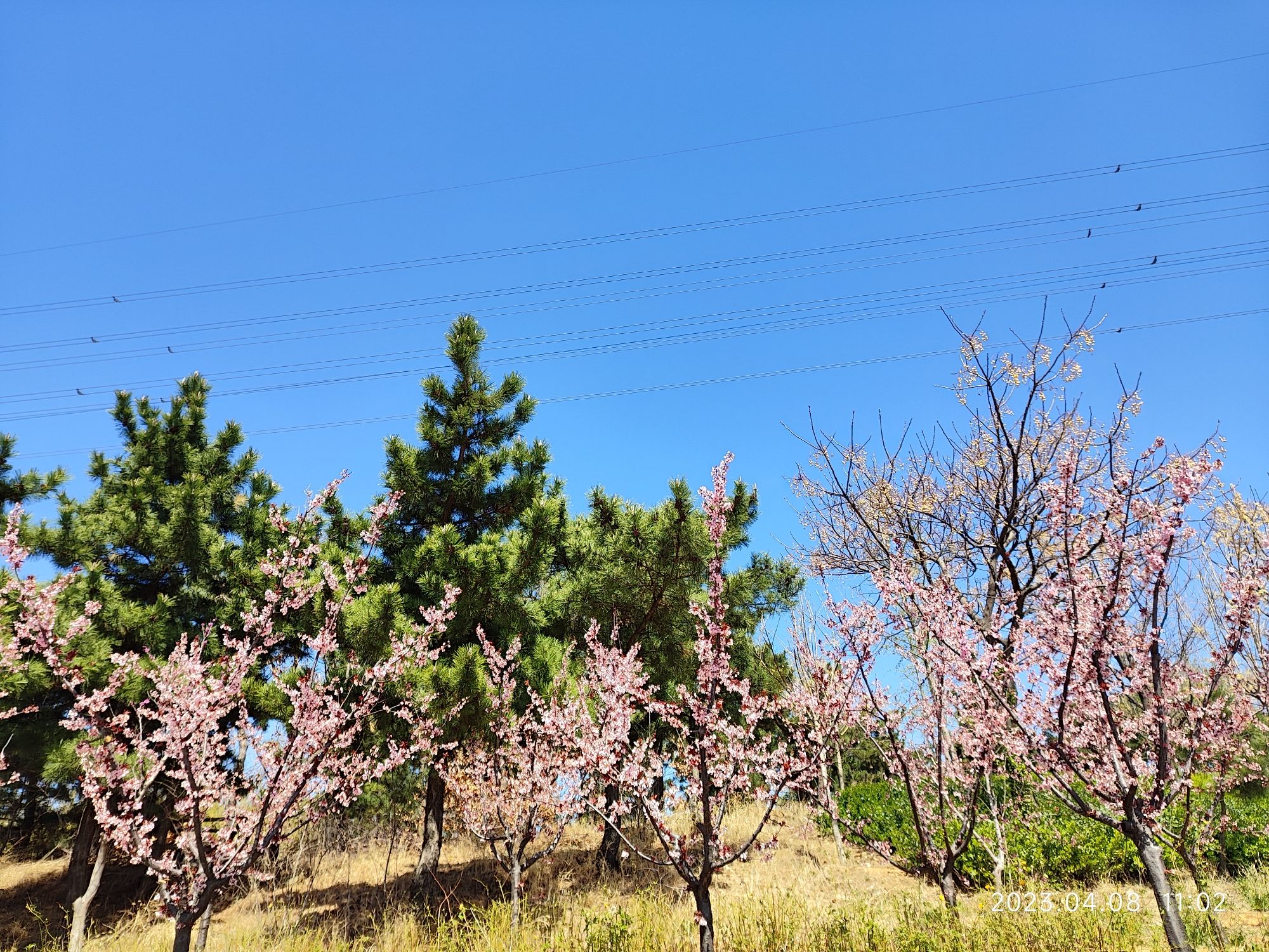 华田体育公园旅行图片 3