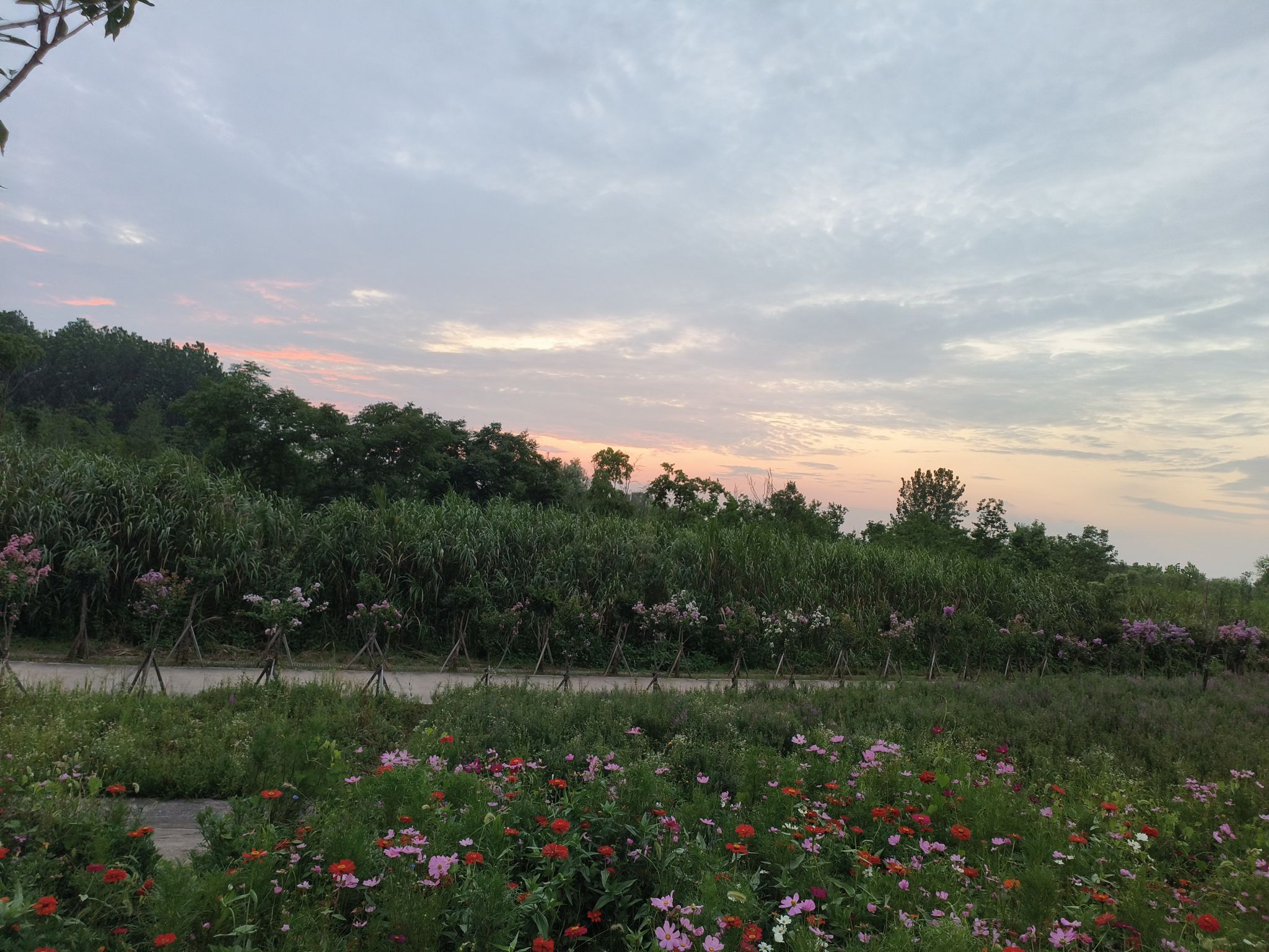 十里江湾公园旅行图片 1