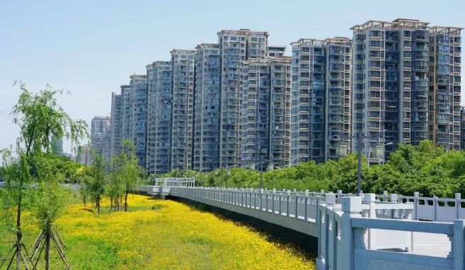 十里江湾公园旅行图片 3