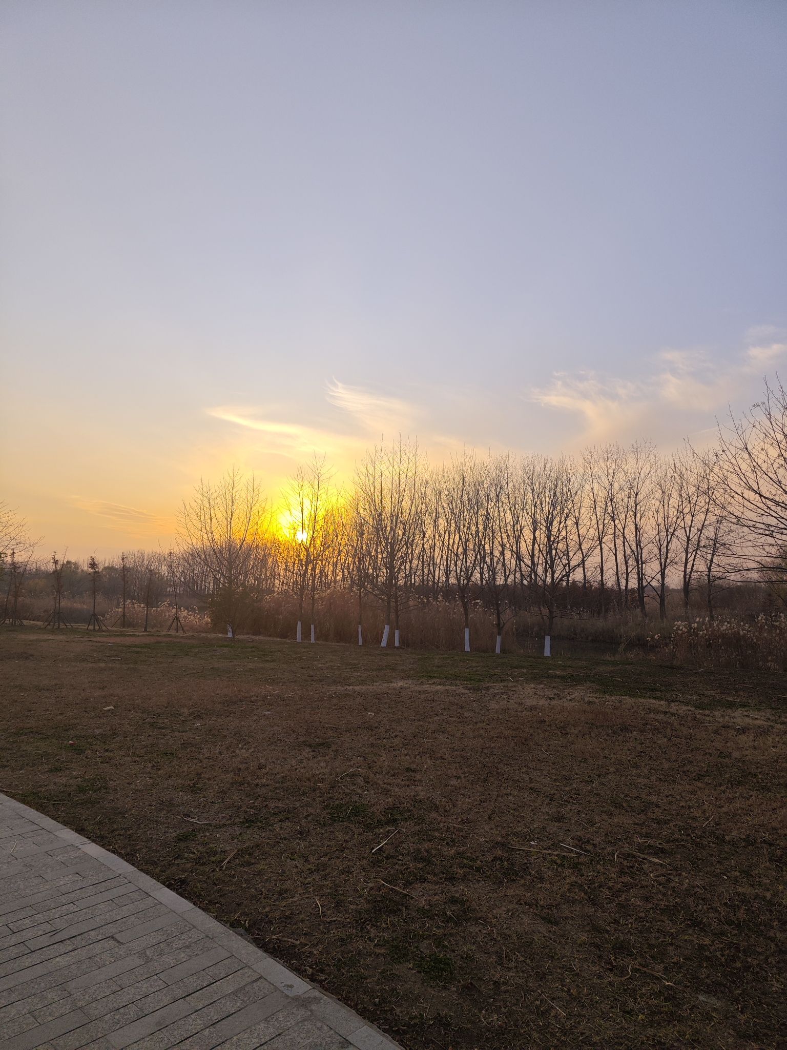 十里江湾公园旅行图片 1