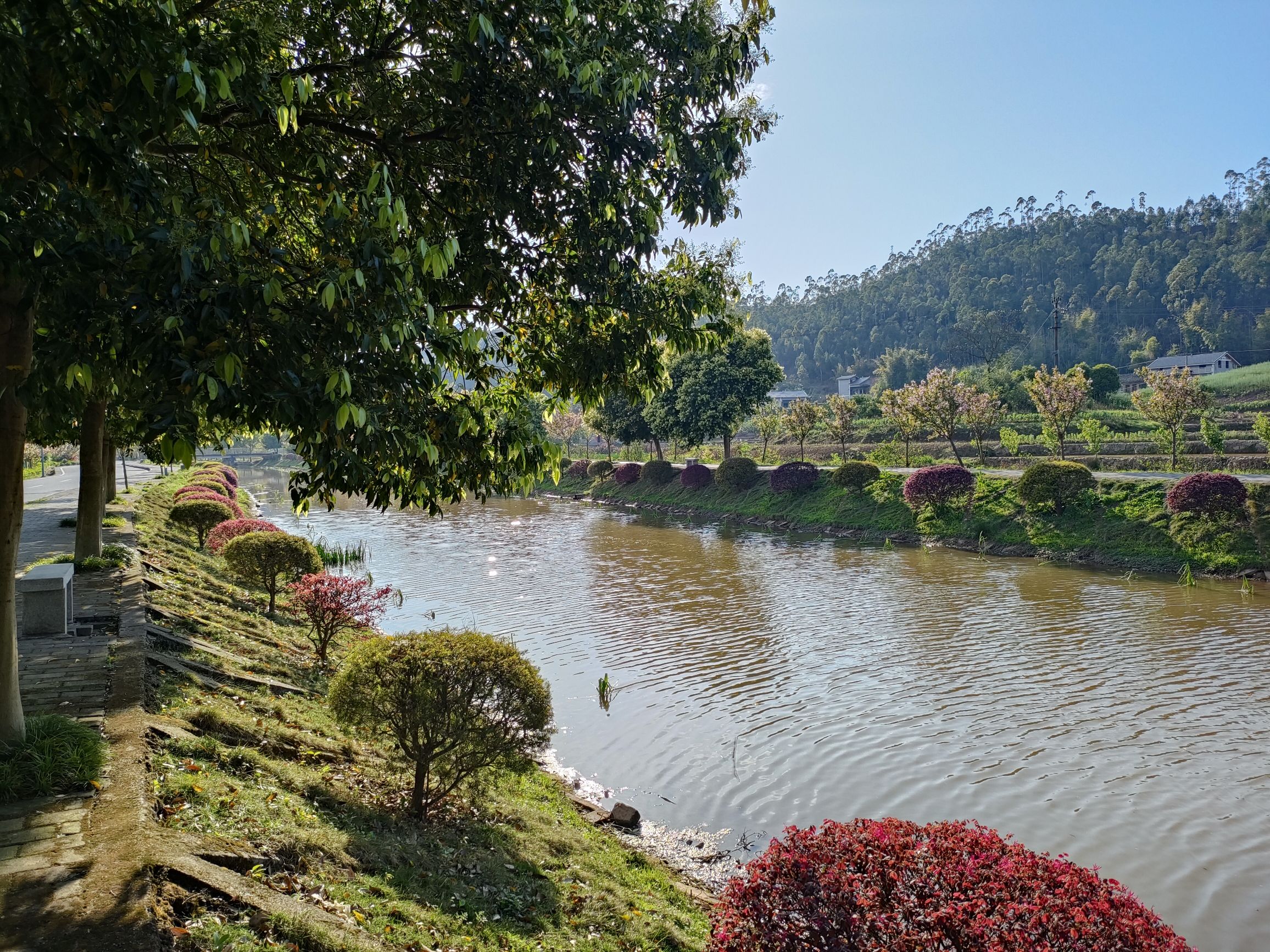 云雾山樱桃谷樱花广场旅行图片 3