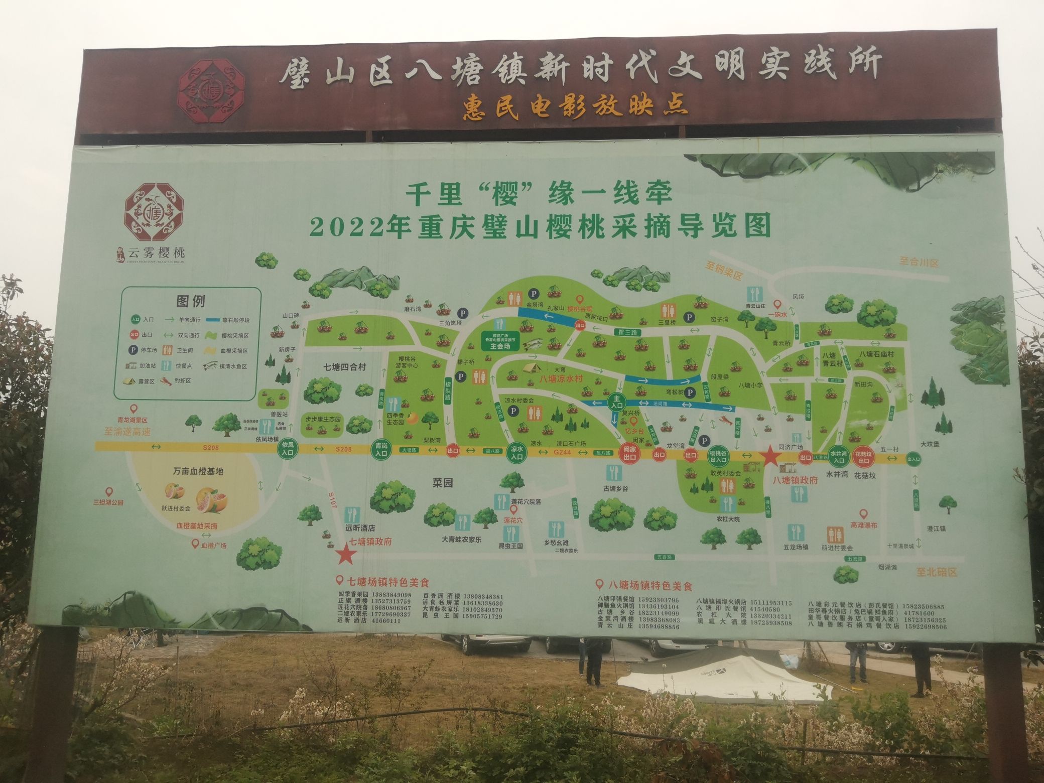 云雾山樱桃谷樱花广场旅行图片 3