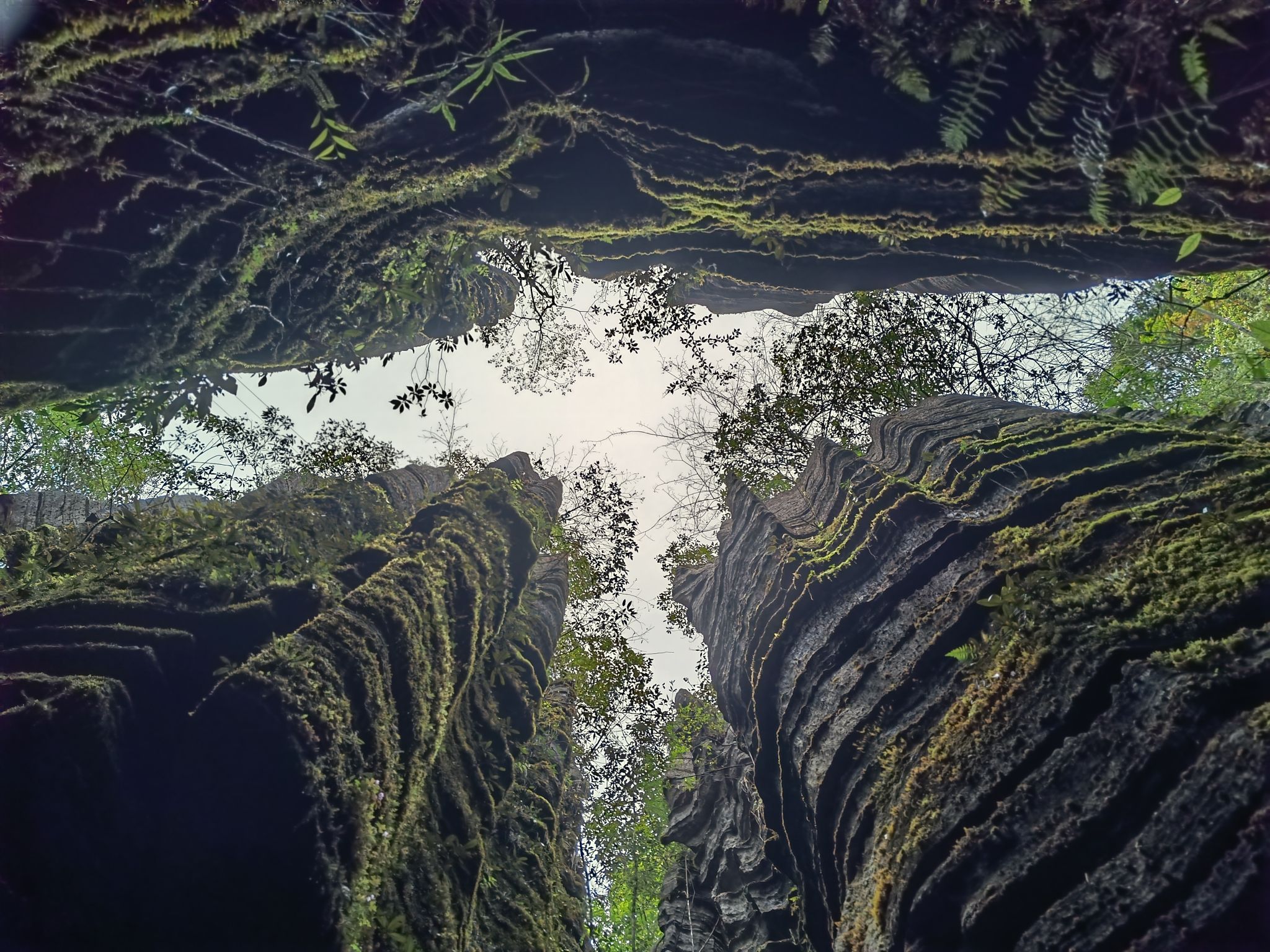 梭布垭石林景区-莲花寨