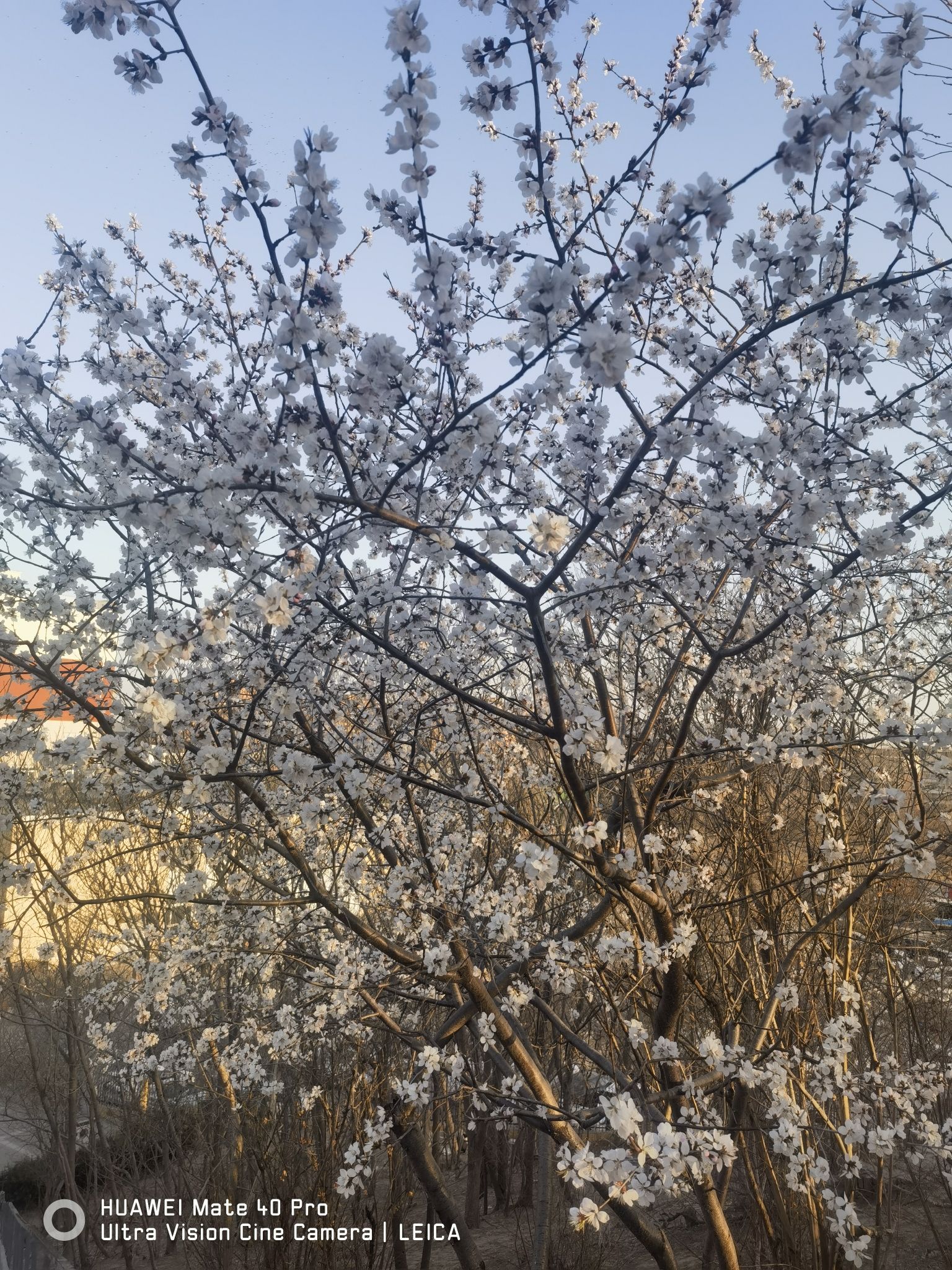 北京马驹桥海子墙公园旅行图片 3
