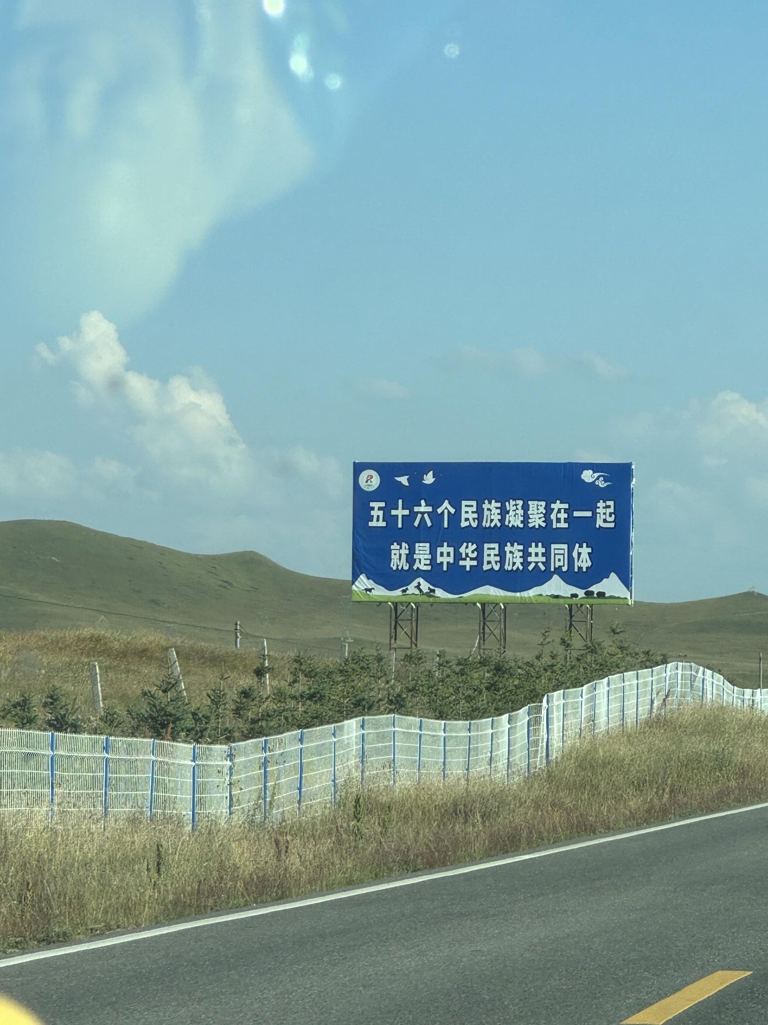 若尔盖天若草原旅行图片 3