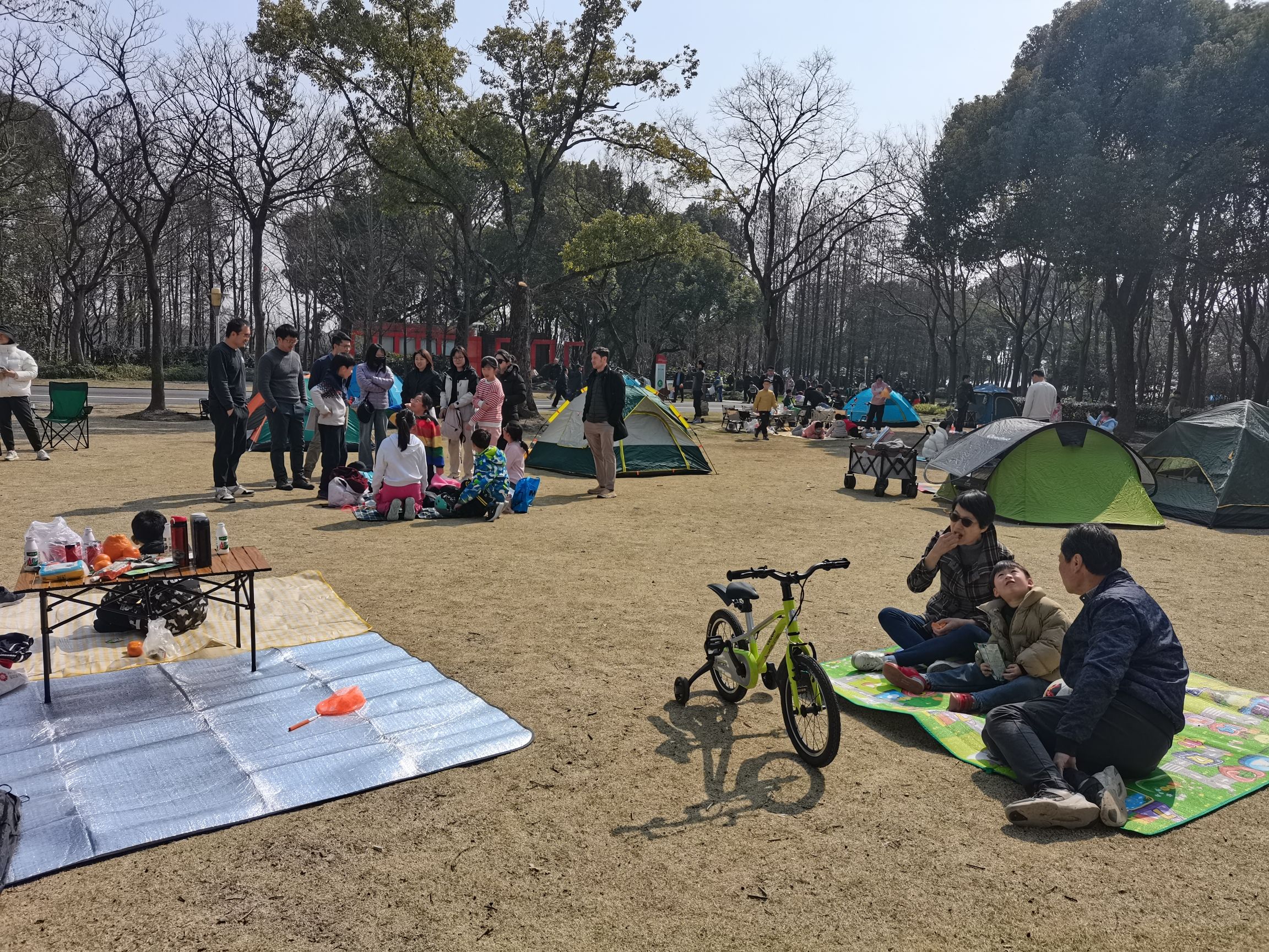 浦江第一湾公园旅行图片 3