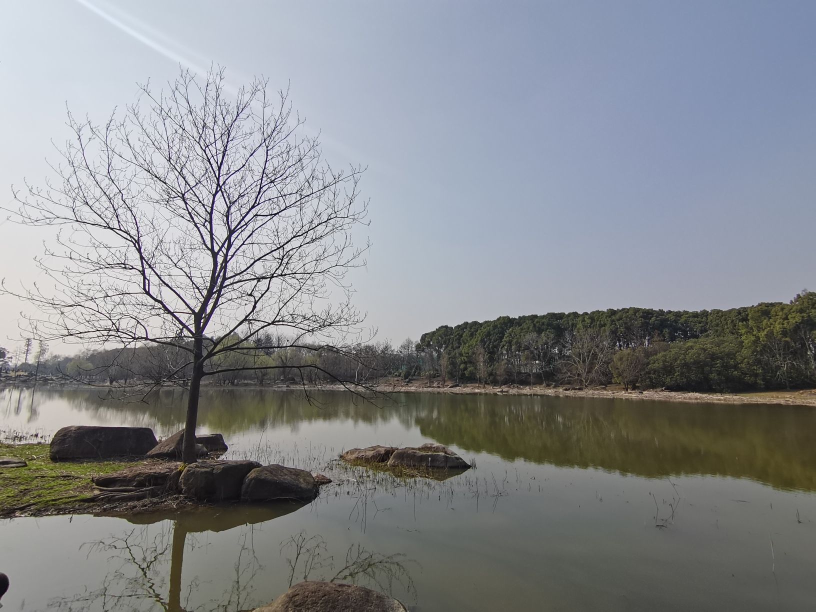 浦江第一湾公园旅行图片 1