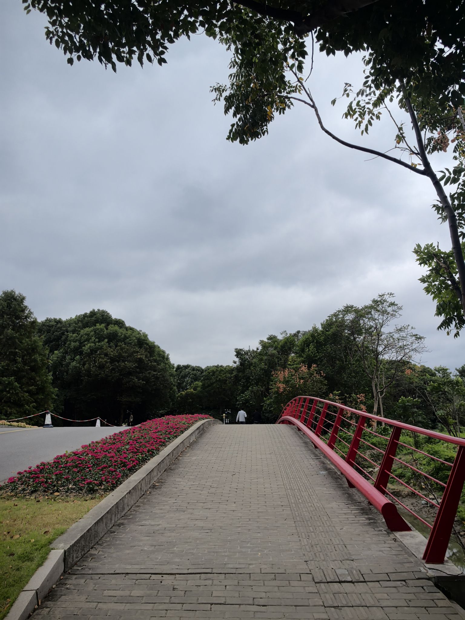浦江第一湾公园旅行图片 1