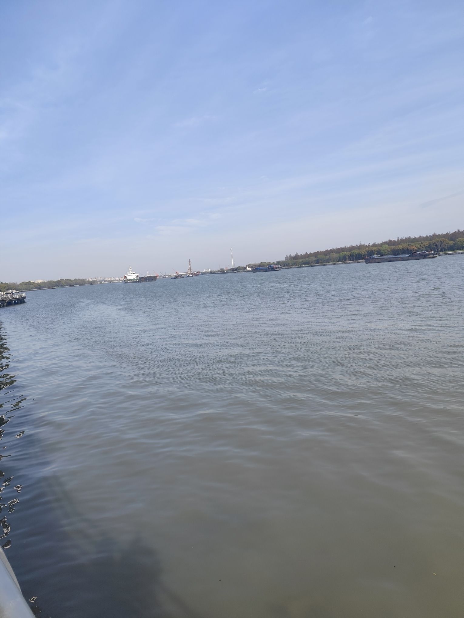 浦江第一湾公园旅行图片 3