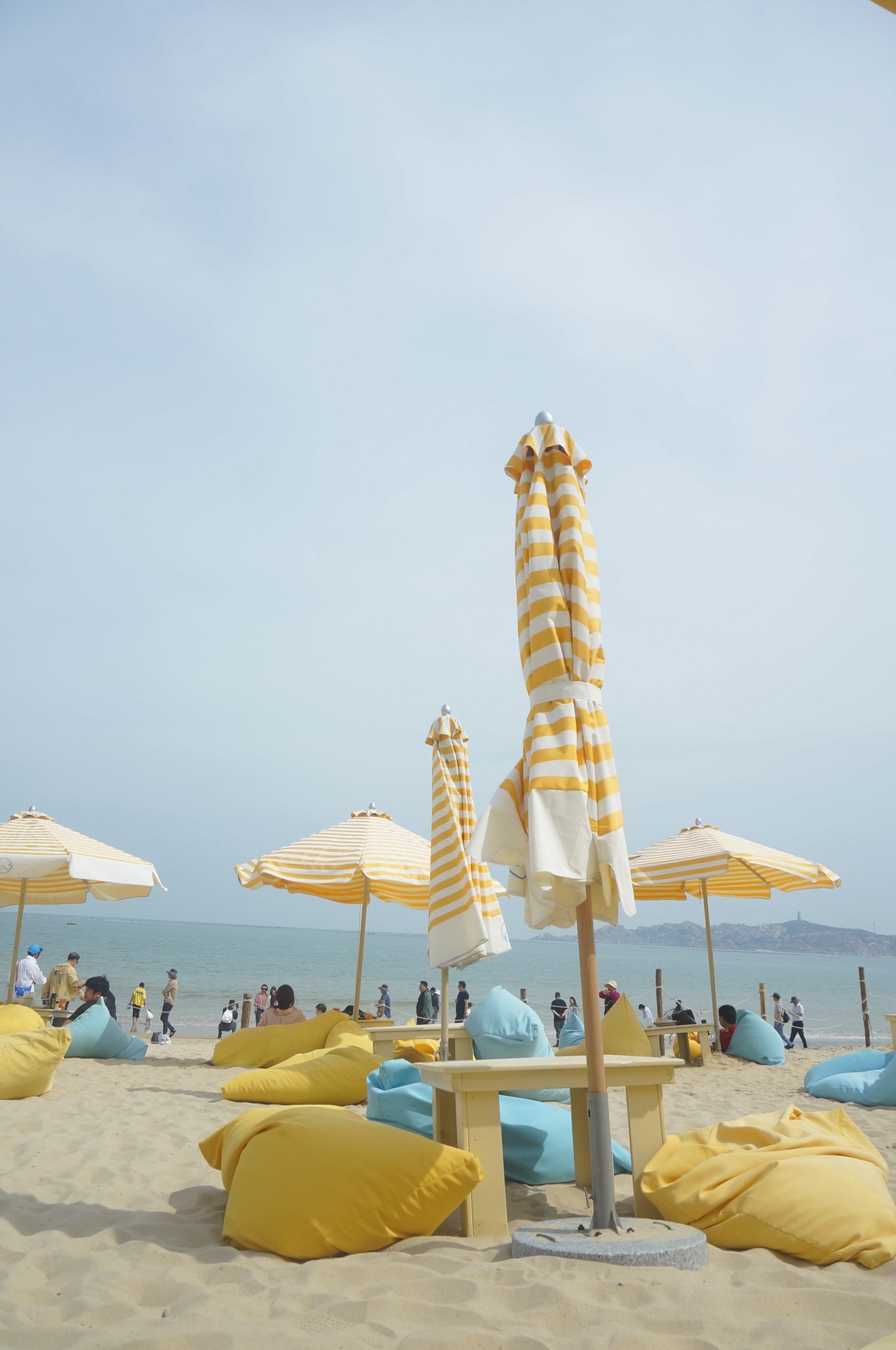 蓝眼泪海滩旅行图片 2