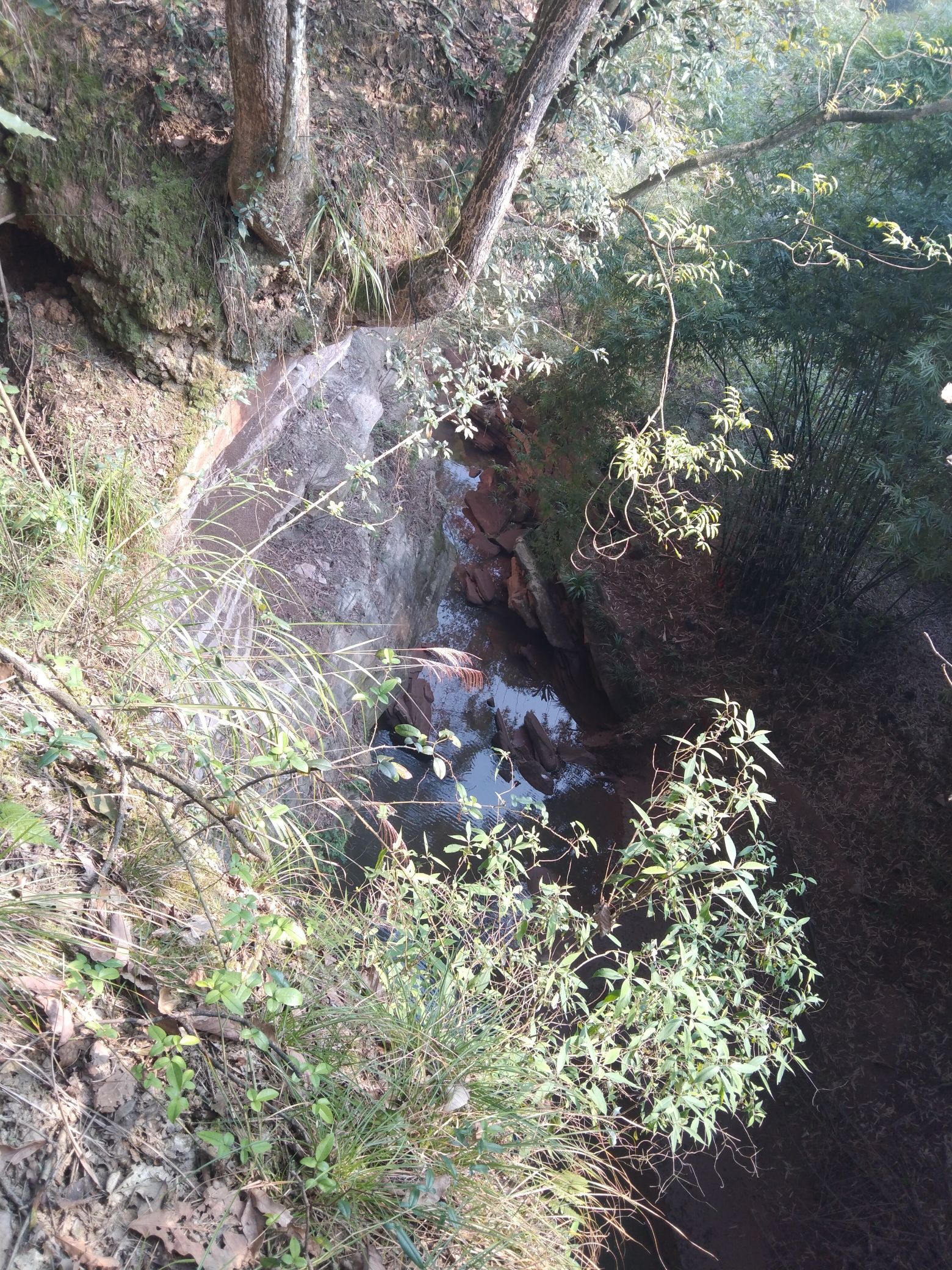 雕岩谷景区旅行图片 2