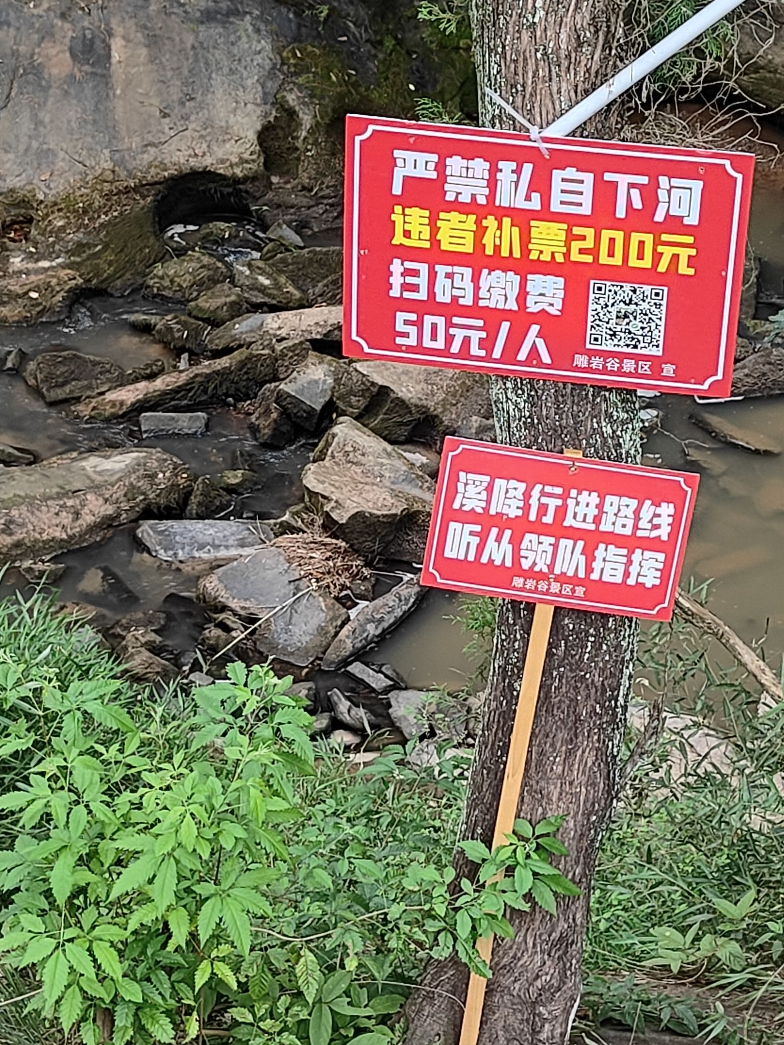 雕岩谷景区旅行图片 2