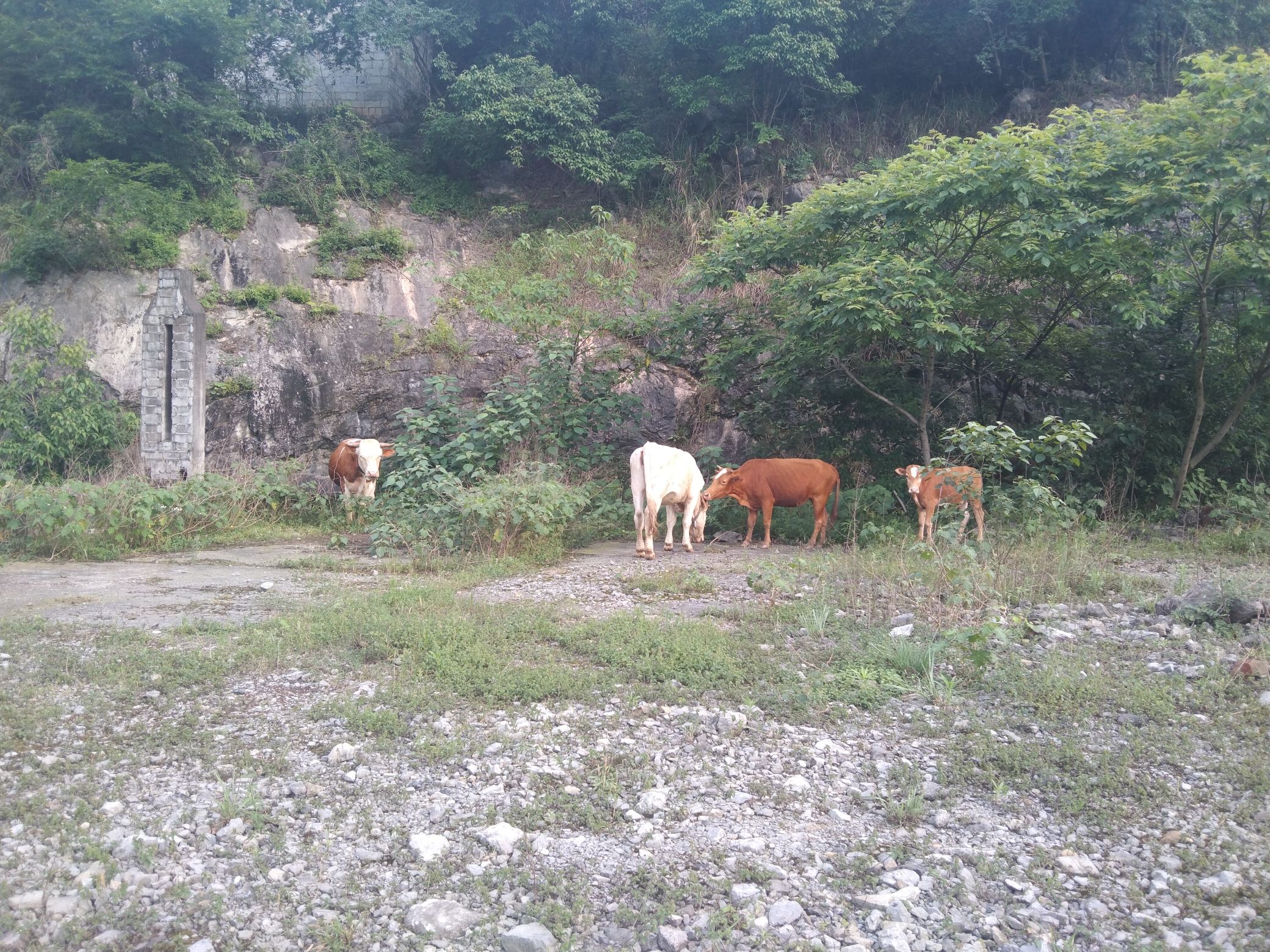 雕岩谷景区旅行图片 2