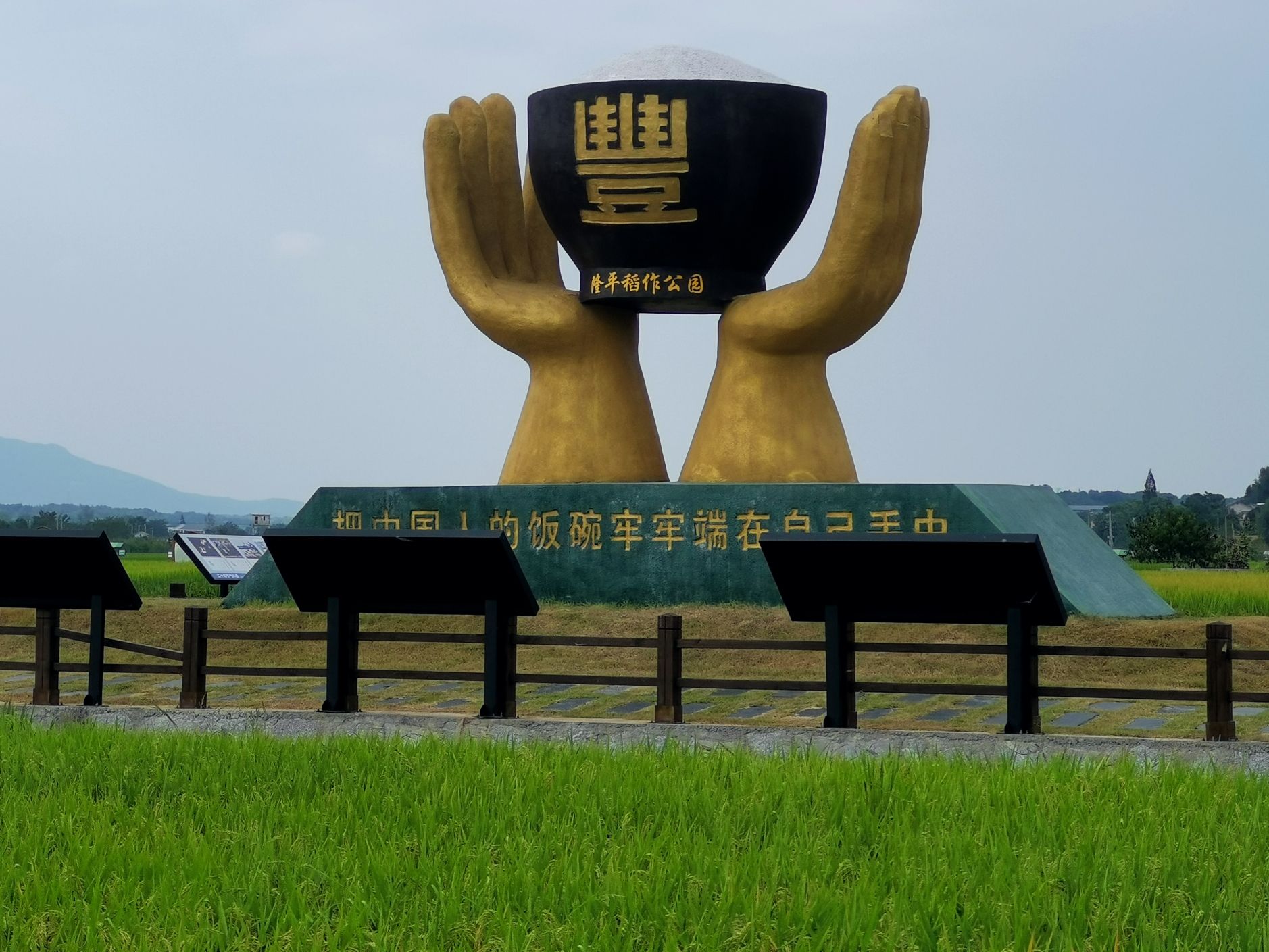 隆平稻作公园旅行图片 2