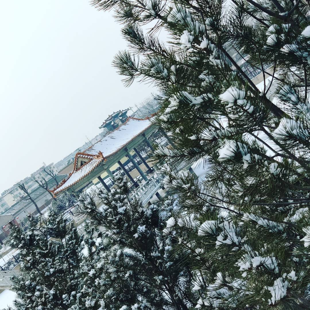 定襄县城中公园旅行图片 2