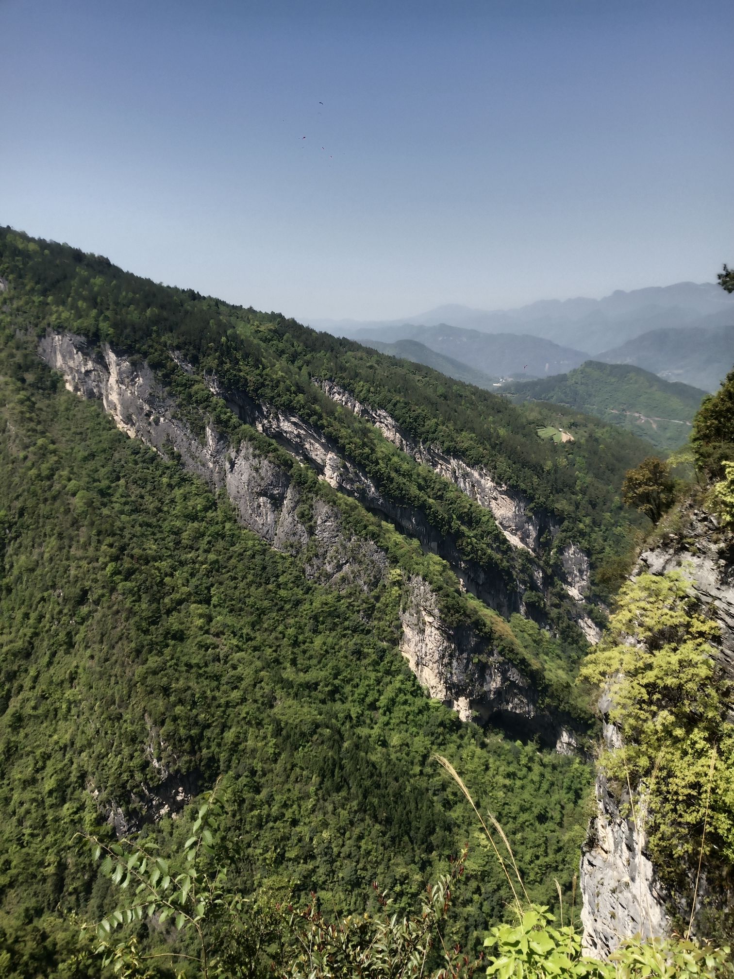 大窝景区海豚湾旅行图片