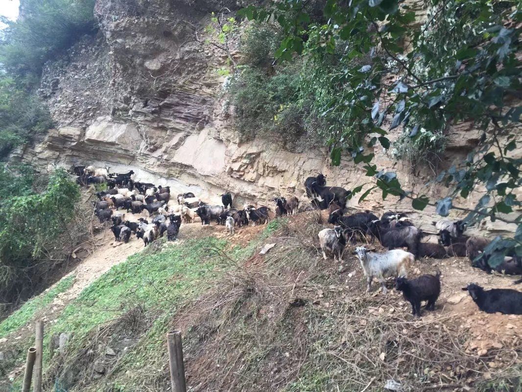 白陉古道旅行图片 2