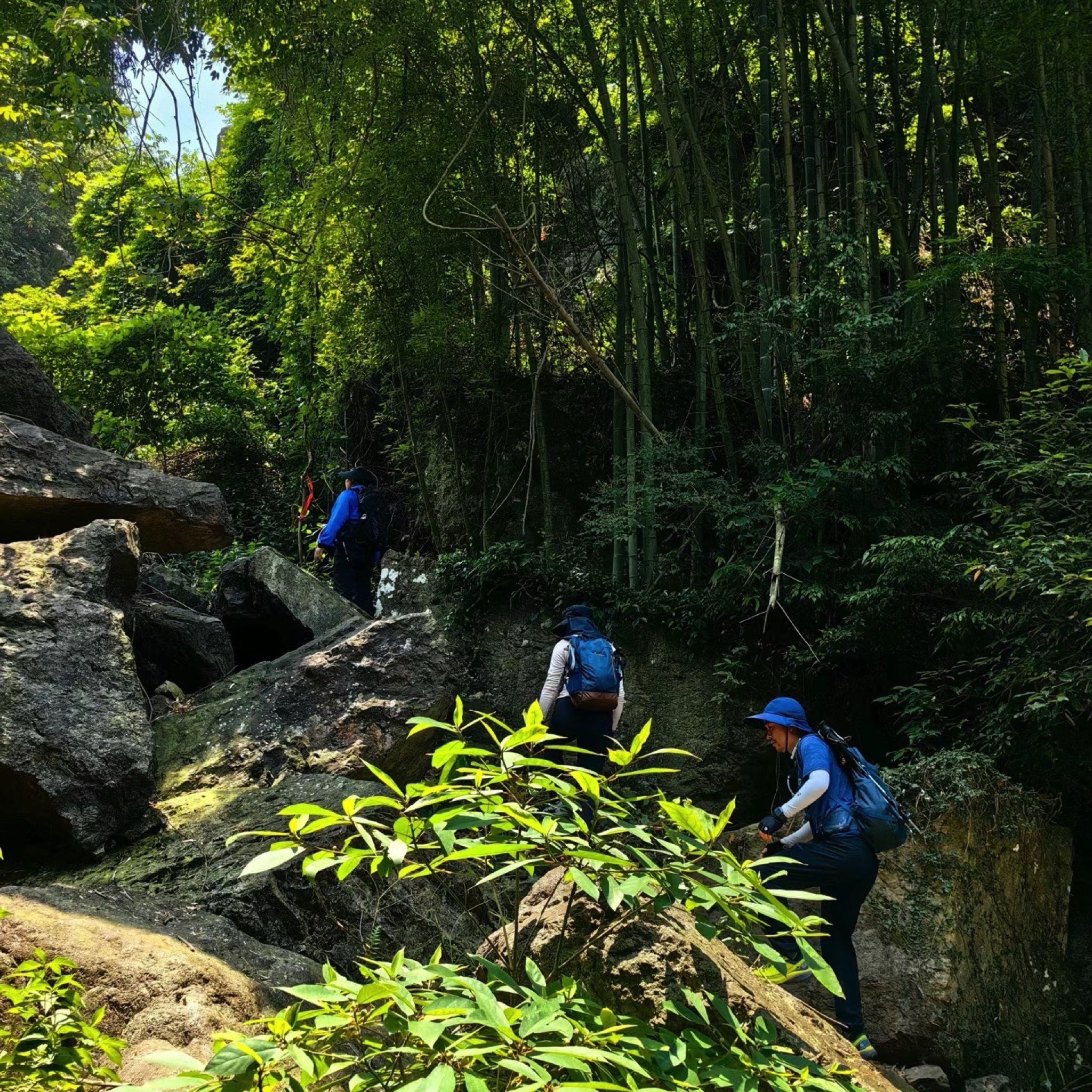 宁波半山伴水景区旅行图片 2