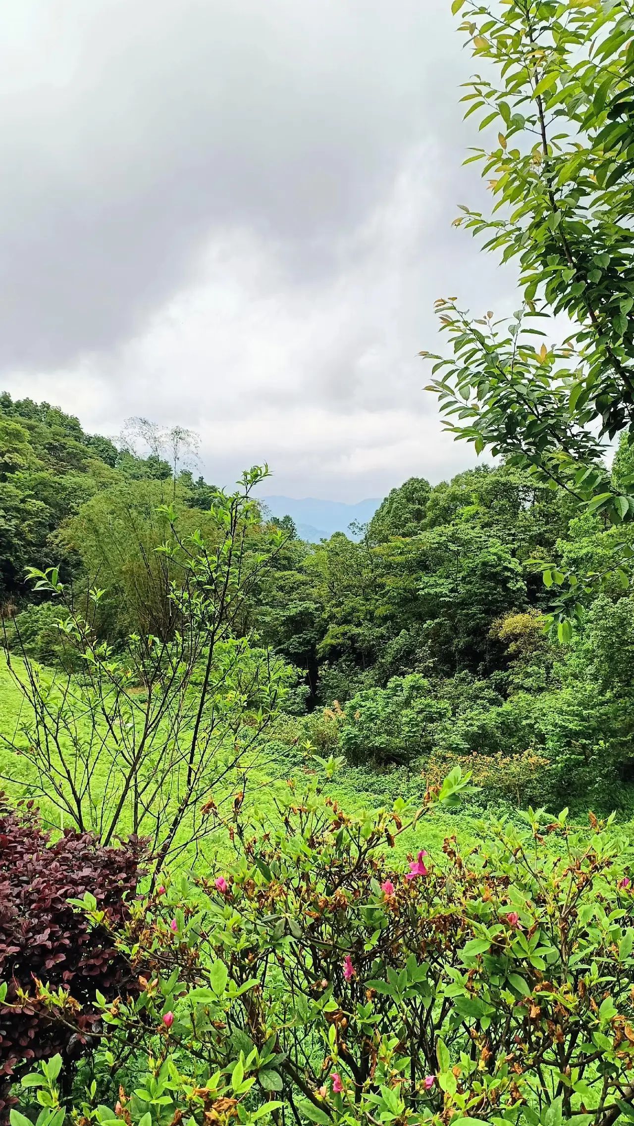 象窝山旅行图片 3