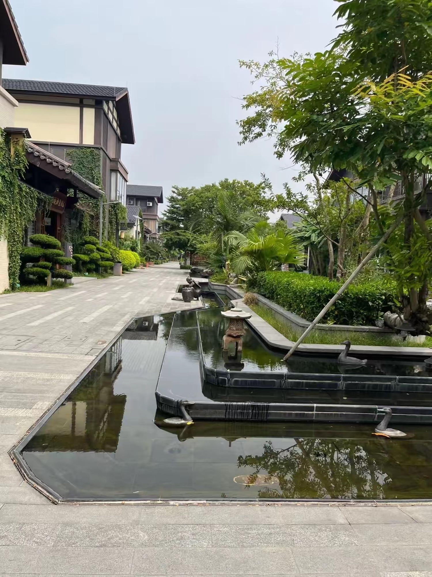 象窝山旅行图片 3