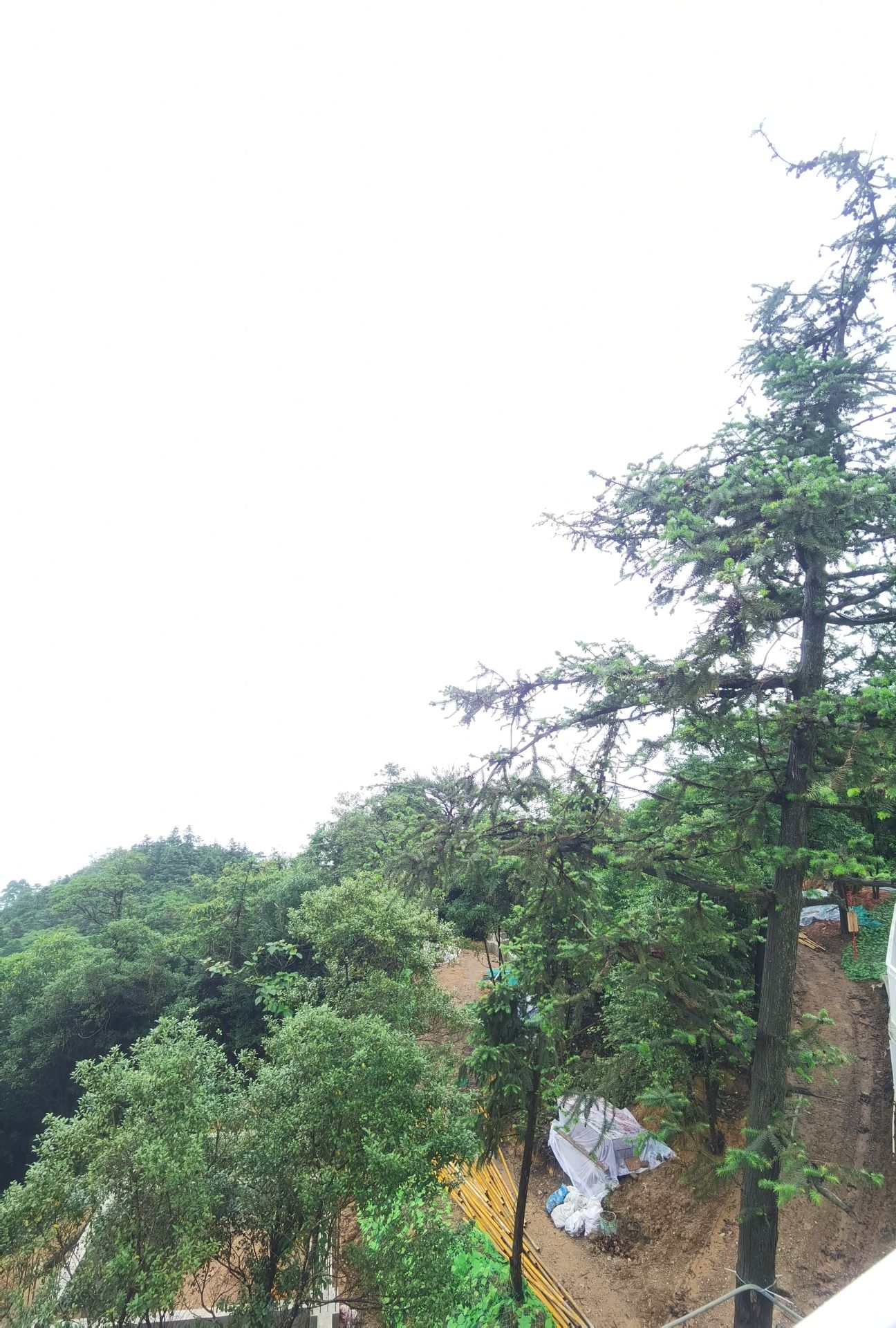 象窝山旅行图片 3