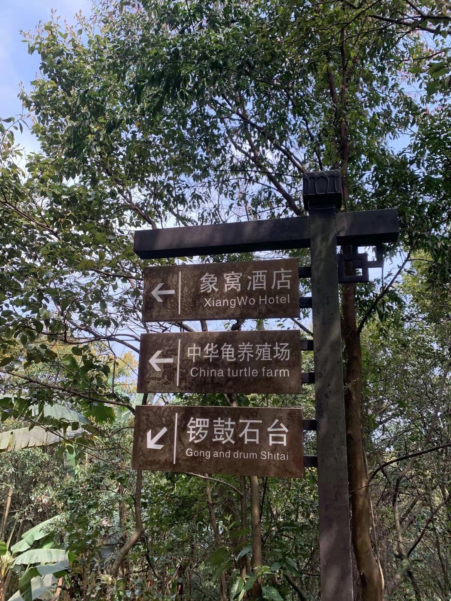 象窝山旅行图片 2