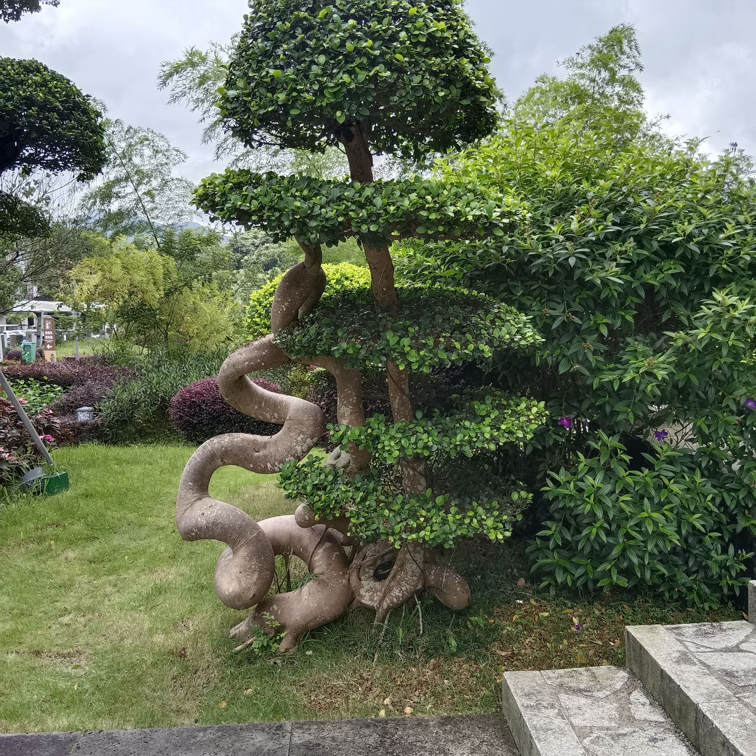 象窝山旅行图片 3