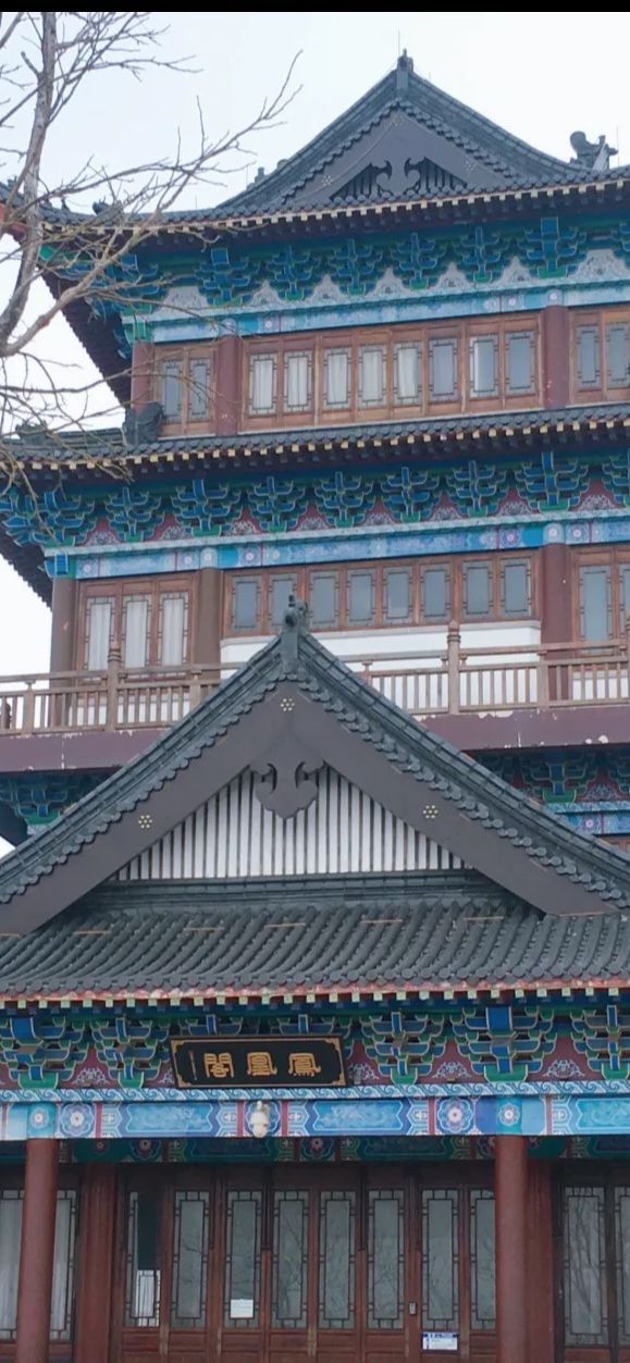 凤凰阁旅行图片 1