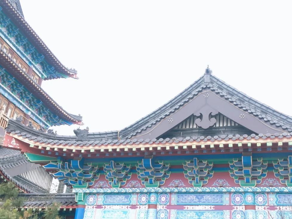 凤凰阁旅行图片 3