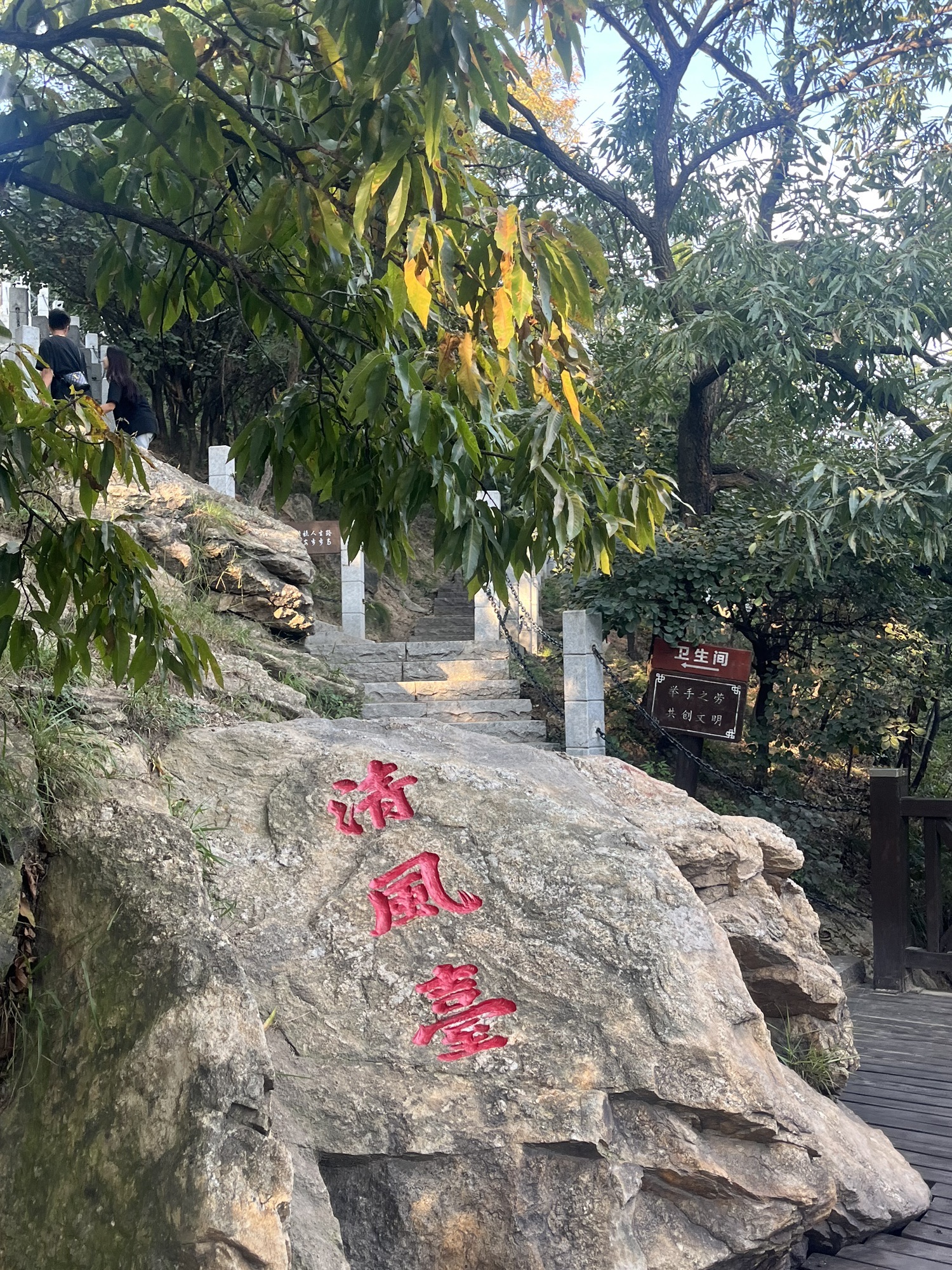 凤凰阁旅行图片 3