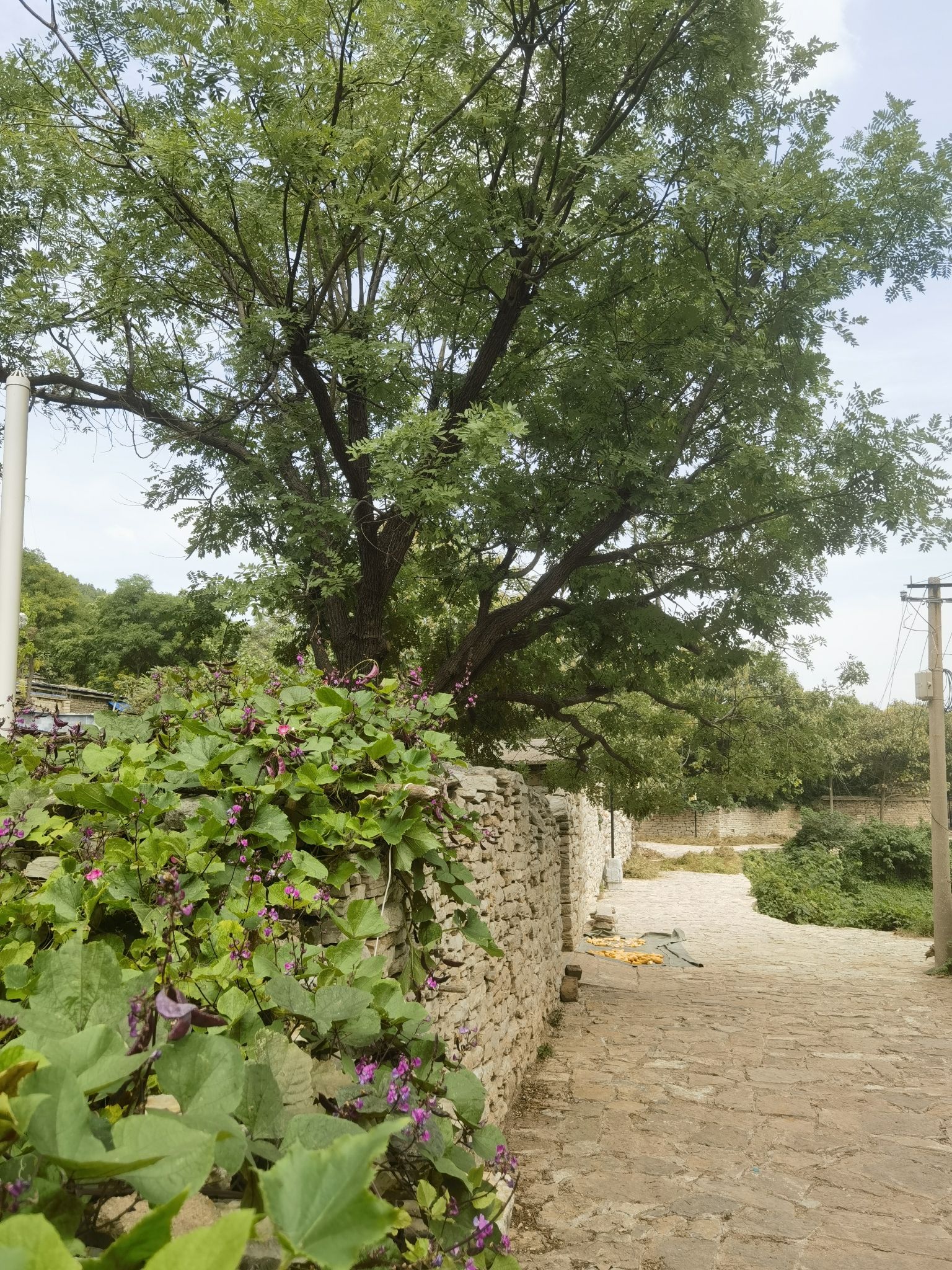 方峪建筑群旅行图片 1