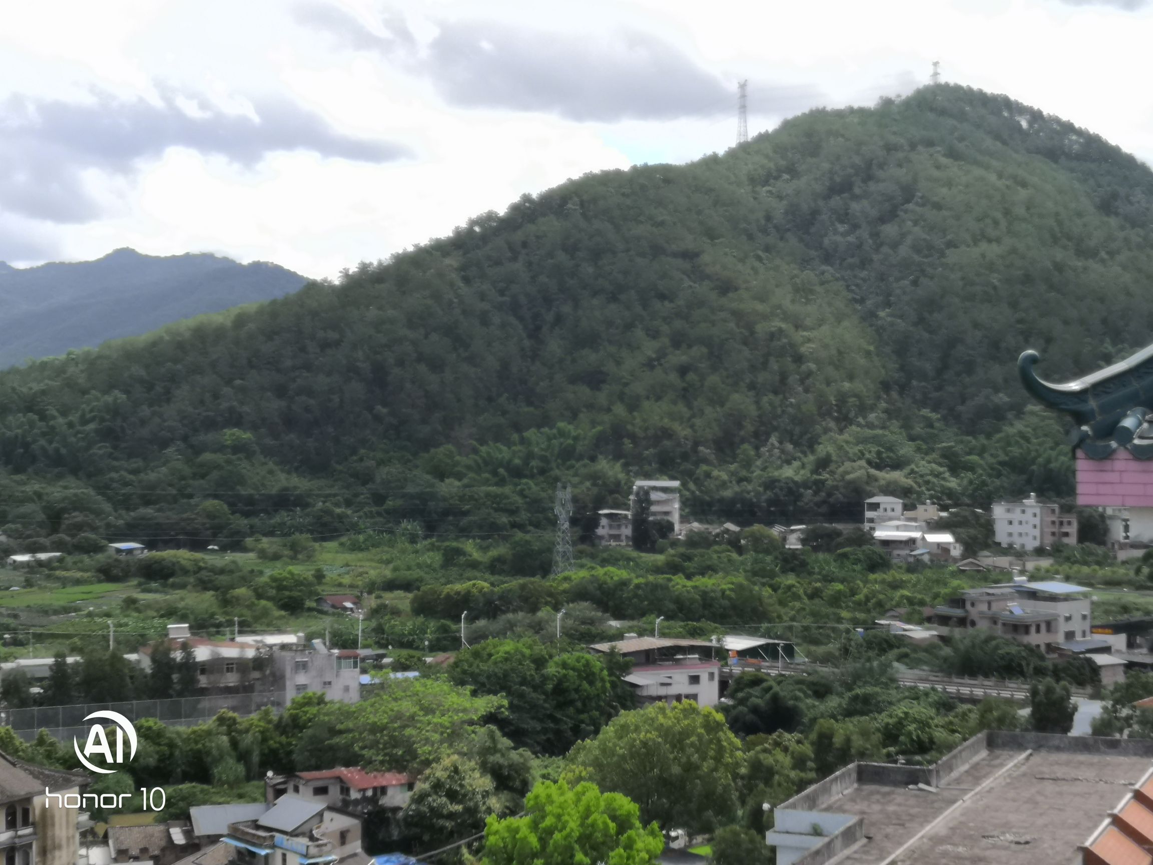 城东镇象山森林公园旅行图片 3