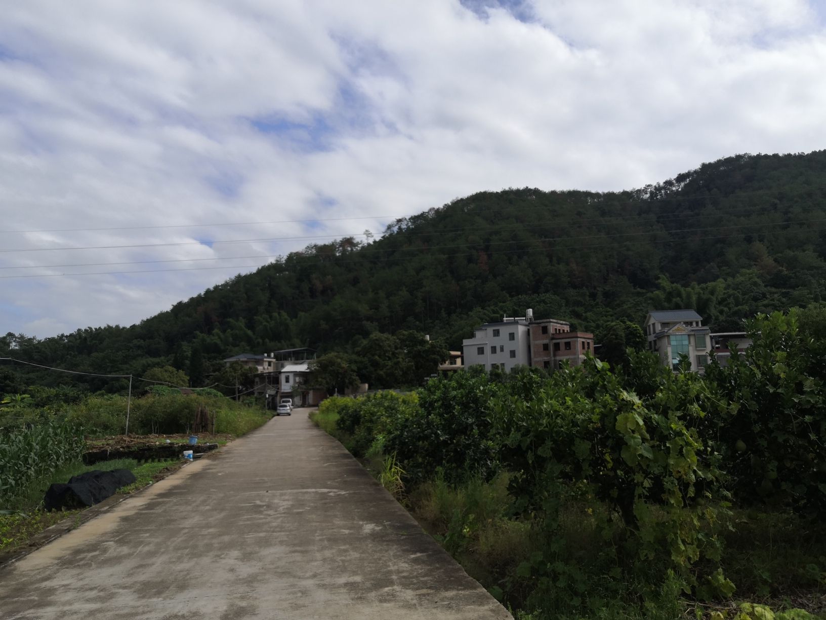 城东镇象山森林公园旅行图片 1