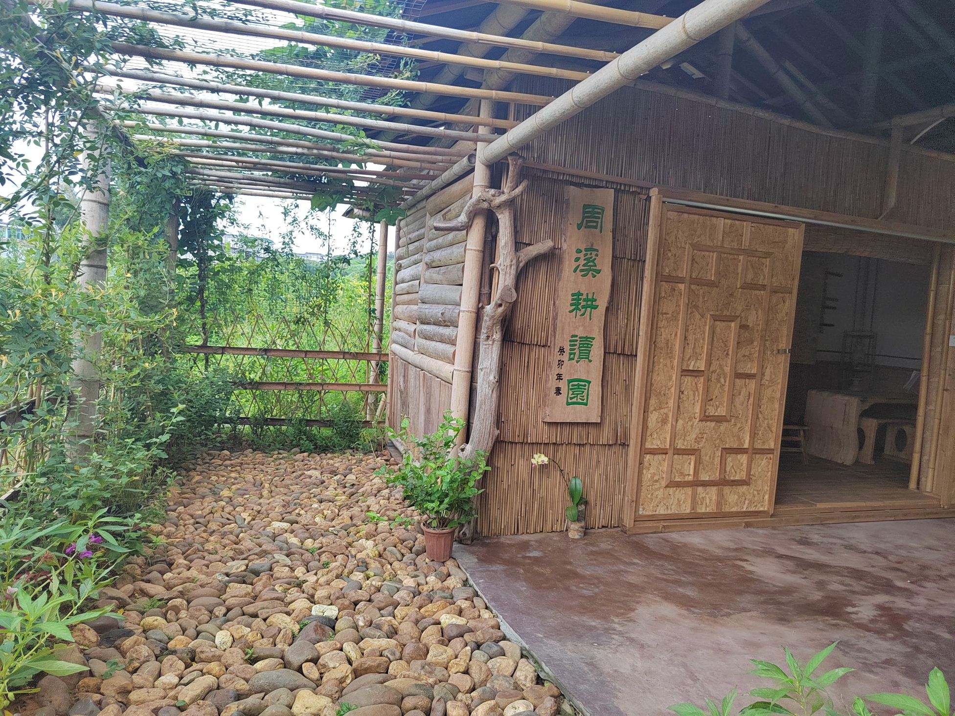 城东镇象山森林公园旅行图片 2
