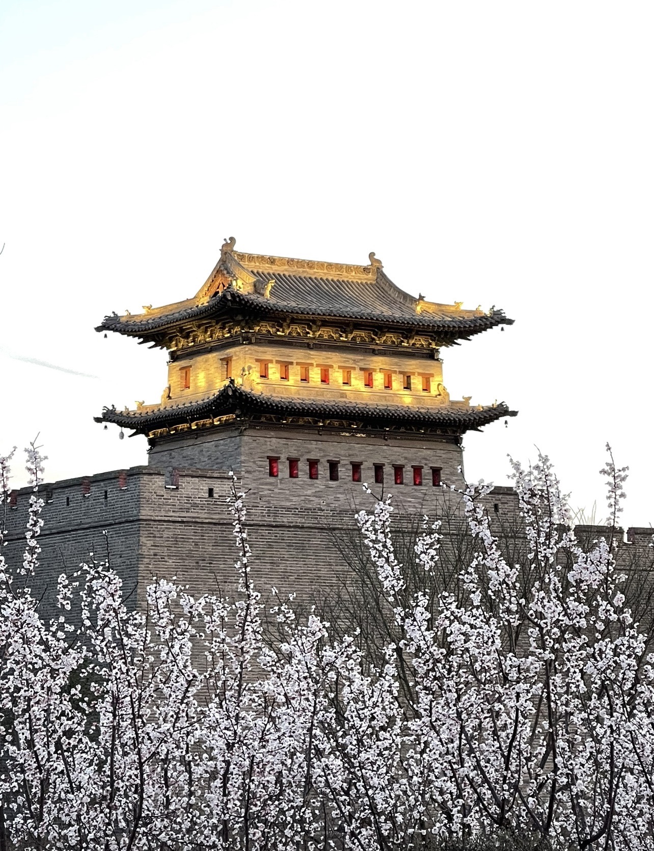 古城墙遗址公园旅行图片 2