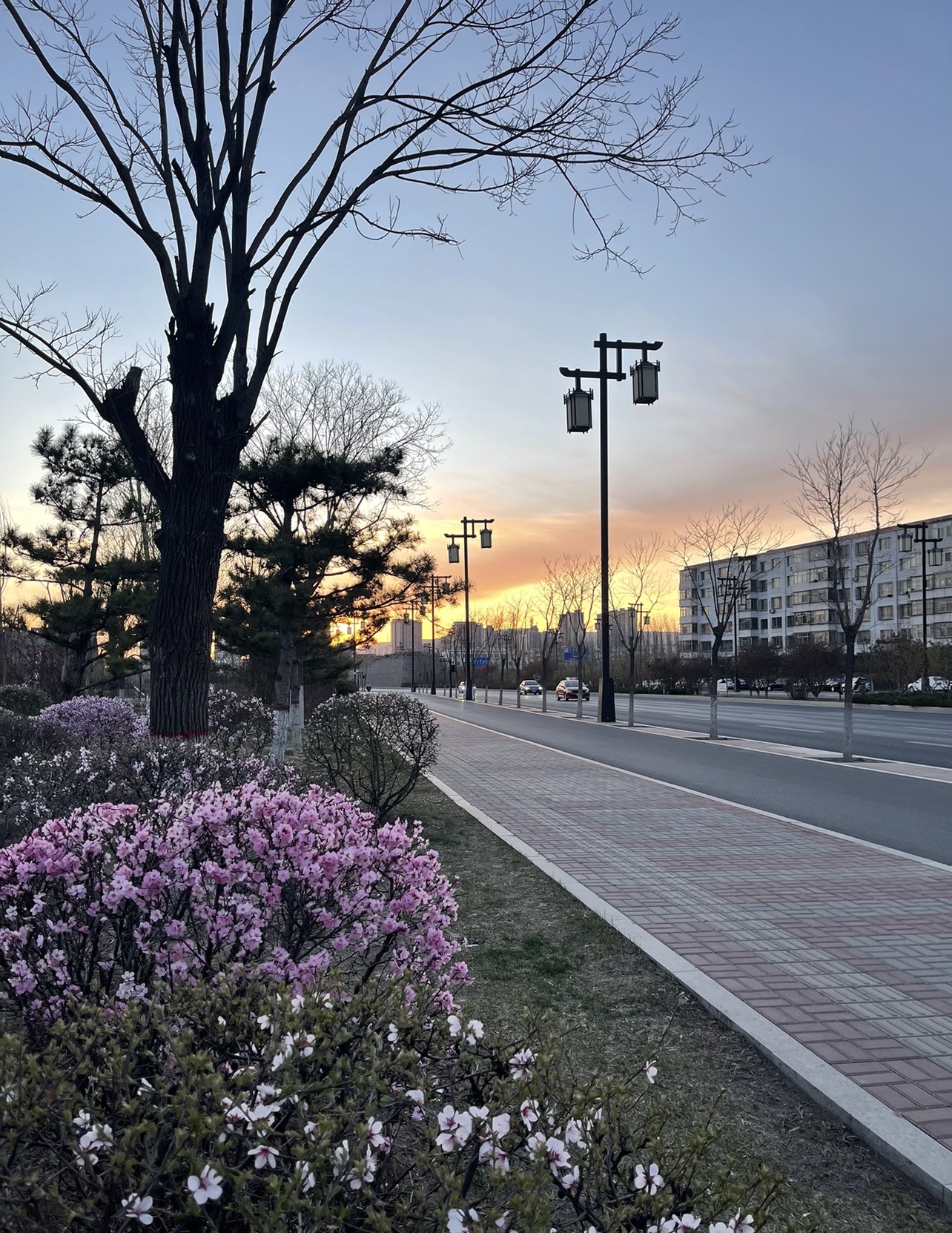古城墙遗址公园旅行图片 1