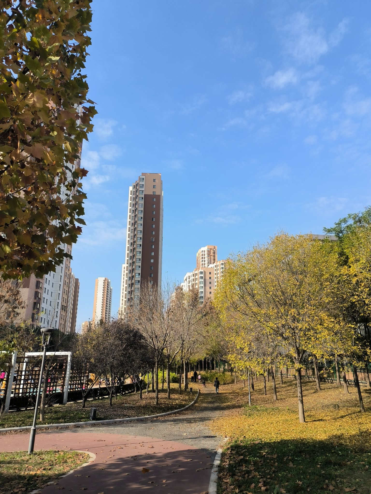 庐山道街心公园旅行图片 2