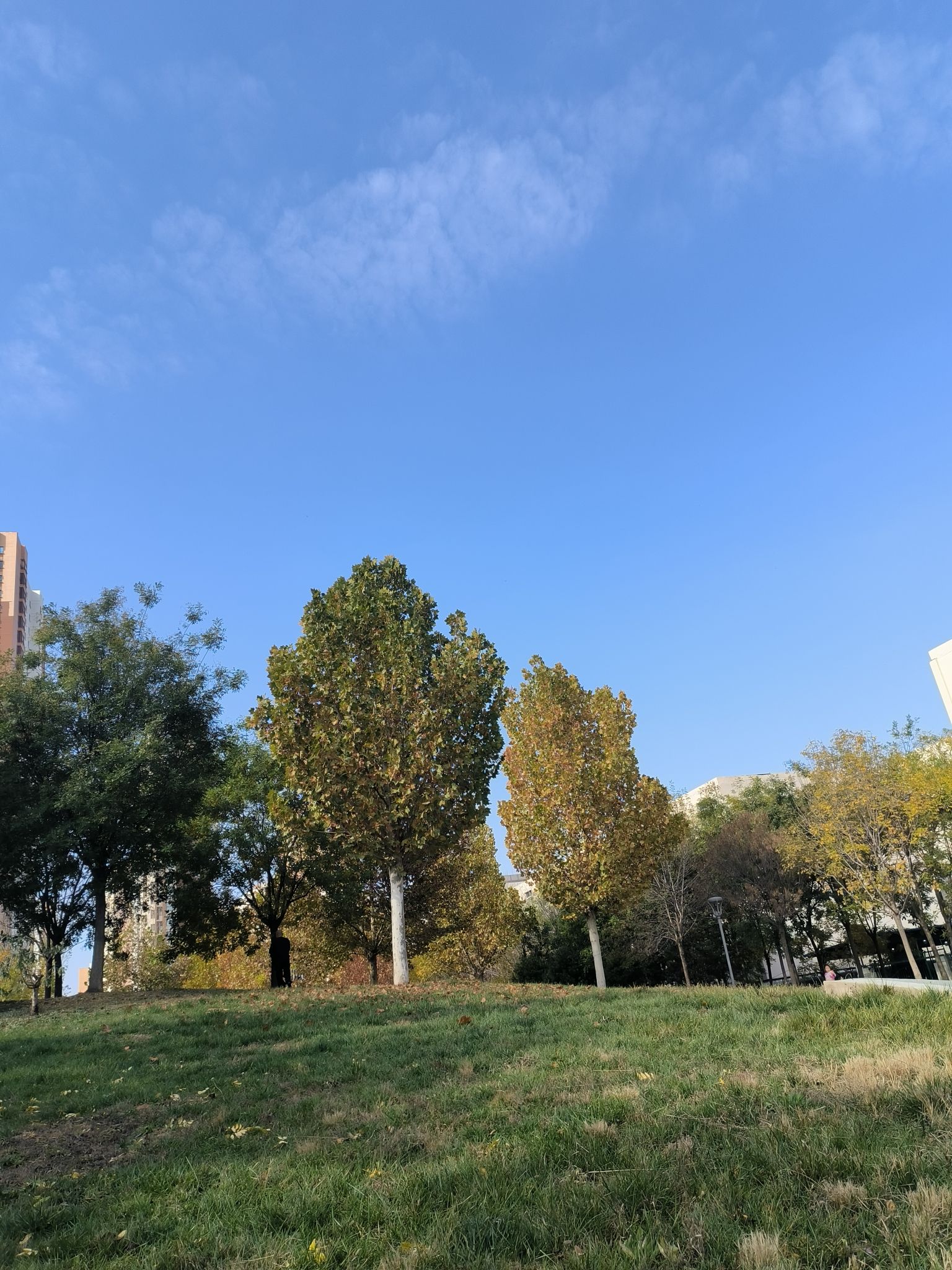 庐山道街心公园旅行图片 1