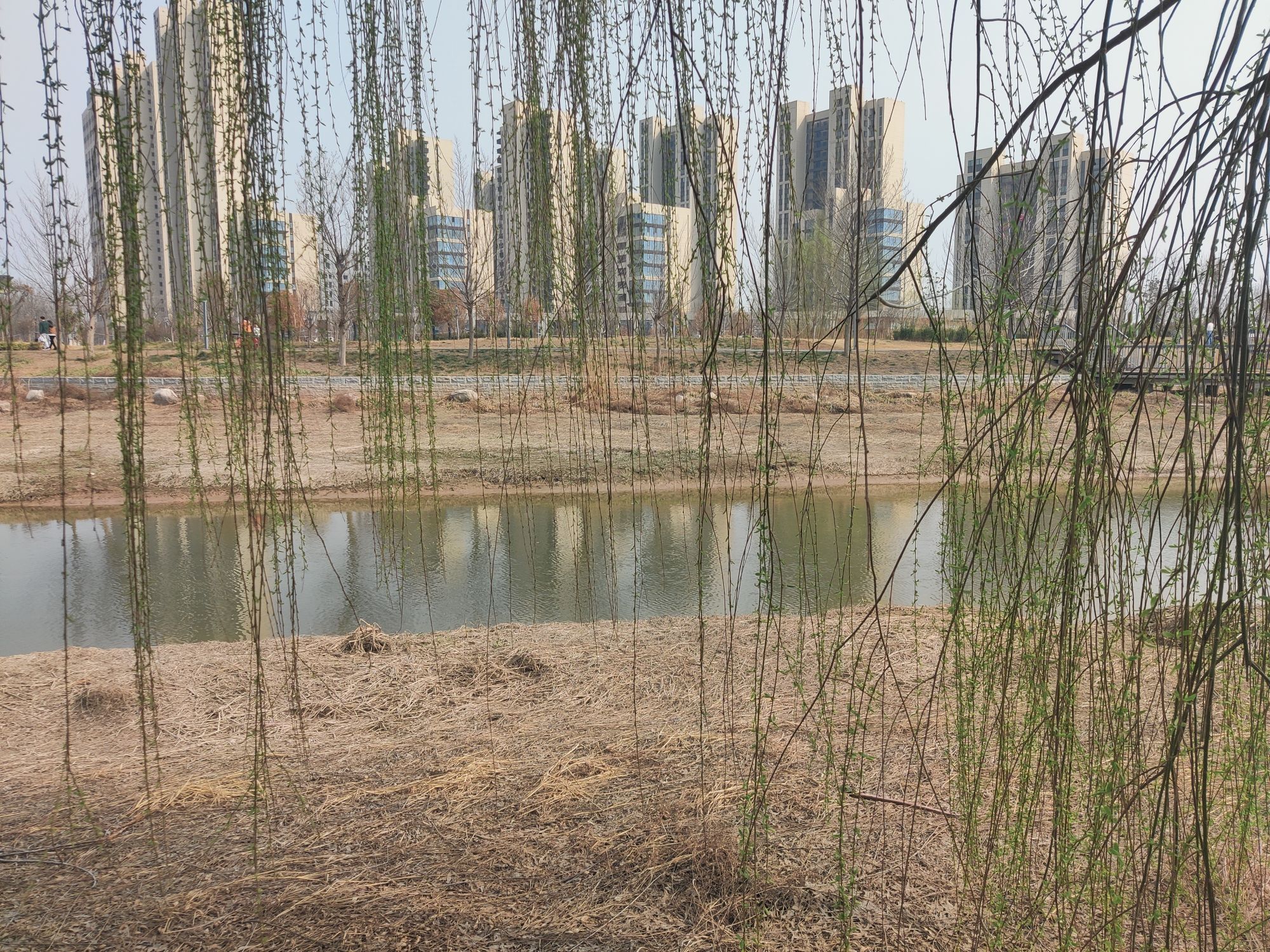 新乡南湖公园旅行图片 3